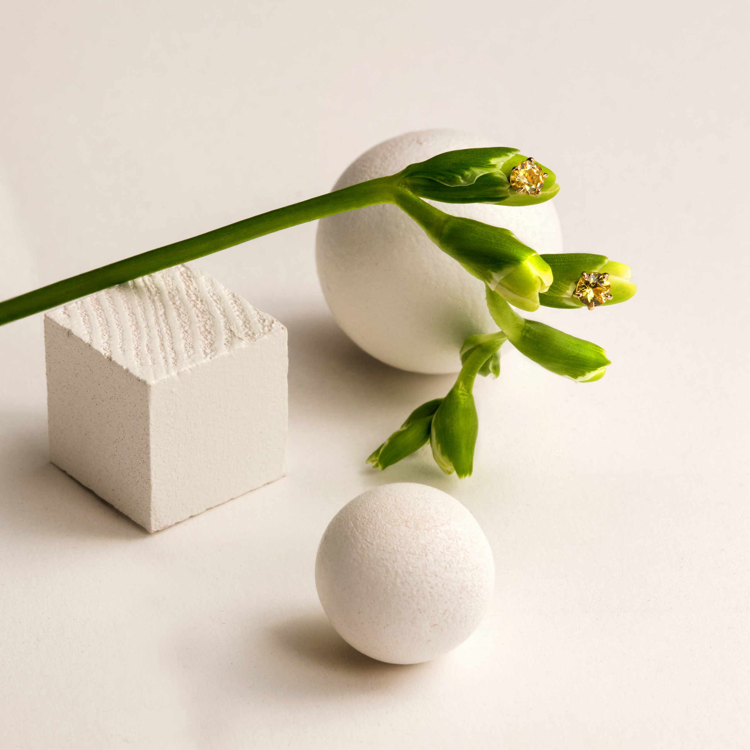 Jewellry. Photographer and Videographer in Montenegro