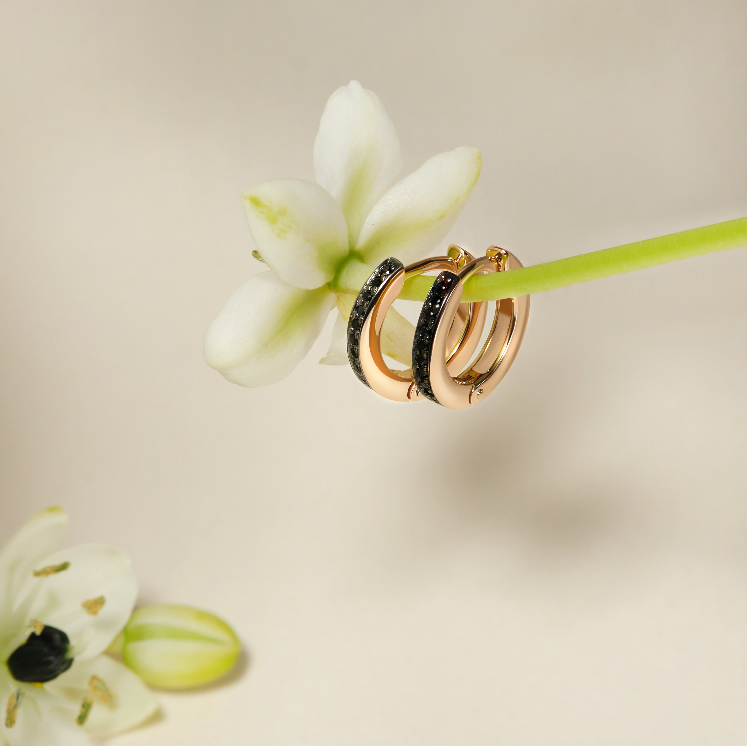 Jewellry. Photographer and Videographer in Montenegro