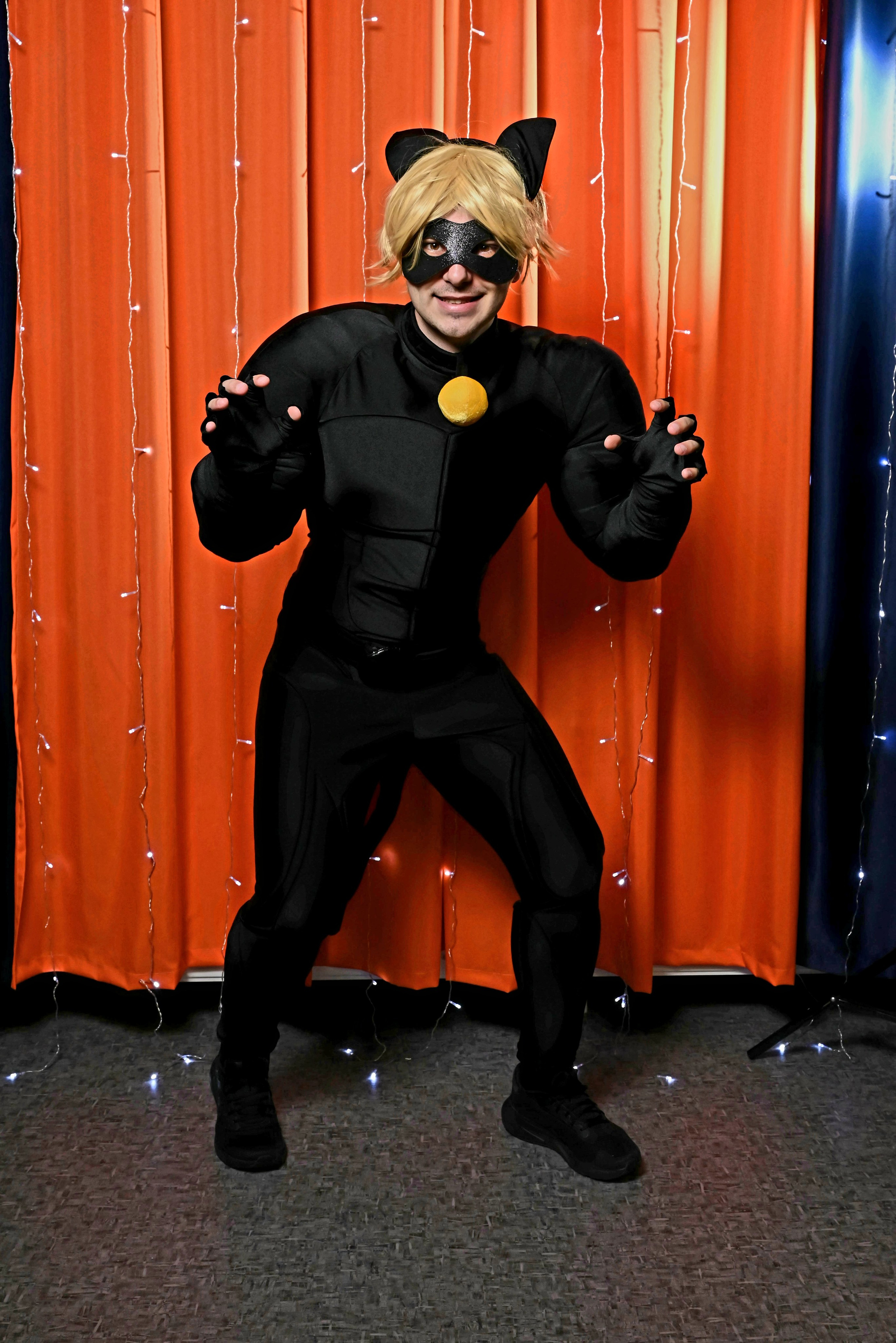 Черный кот и божья коровка. Девятое королевство