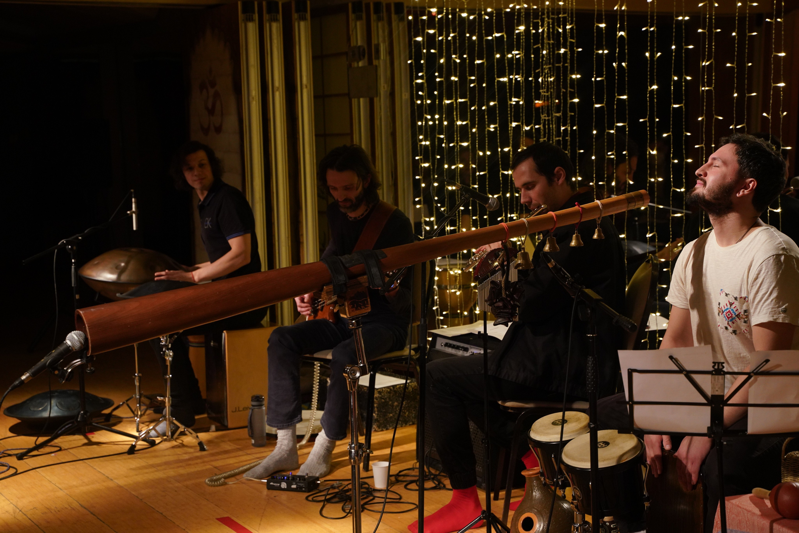 Концерт Forest jam project. Портретный и репортажный фотограф Наталья Горобец