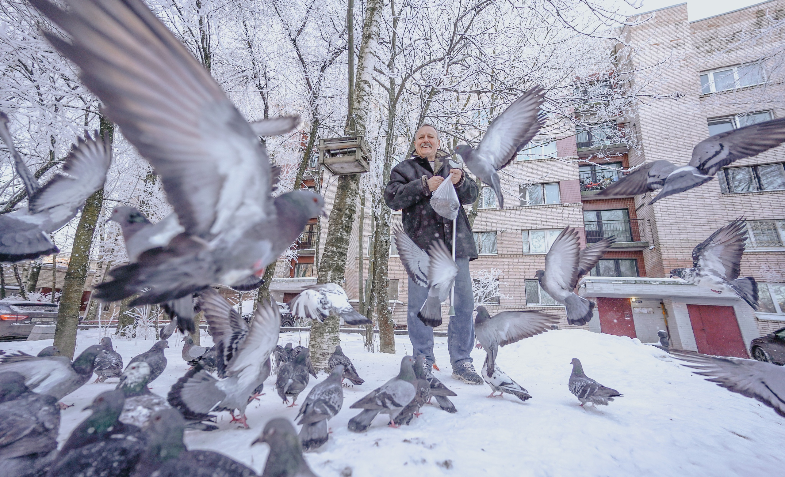 Пернатый психоз. Стрит-фотография, полная абсурда, идиотизма и красоты