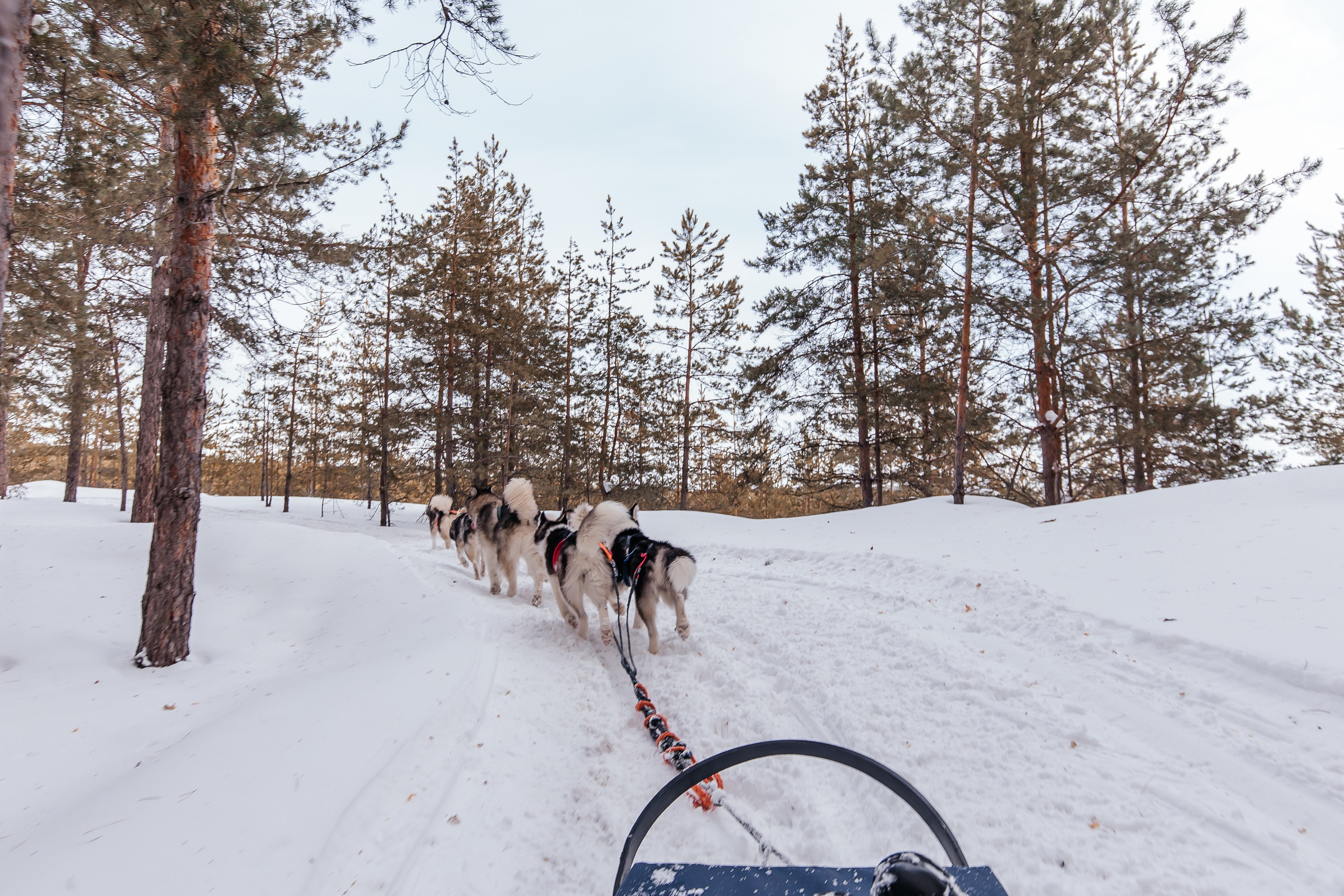 Jaecoo J7 6.0. Фотограф в Самаре / Олеся Широнина