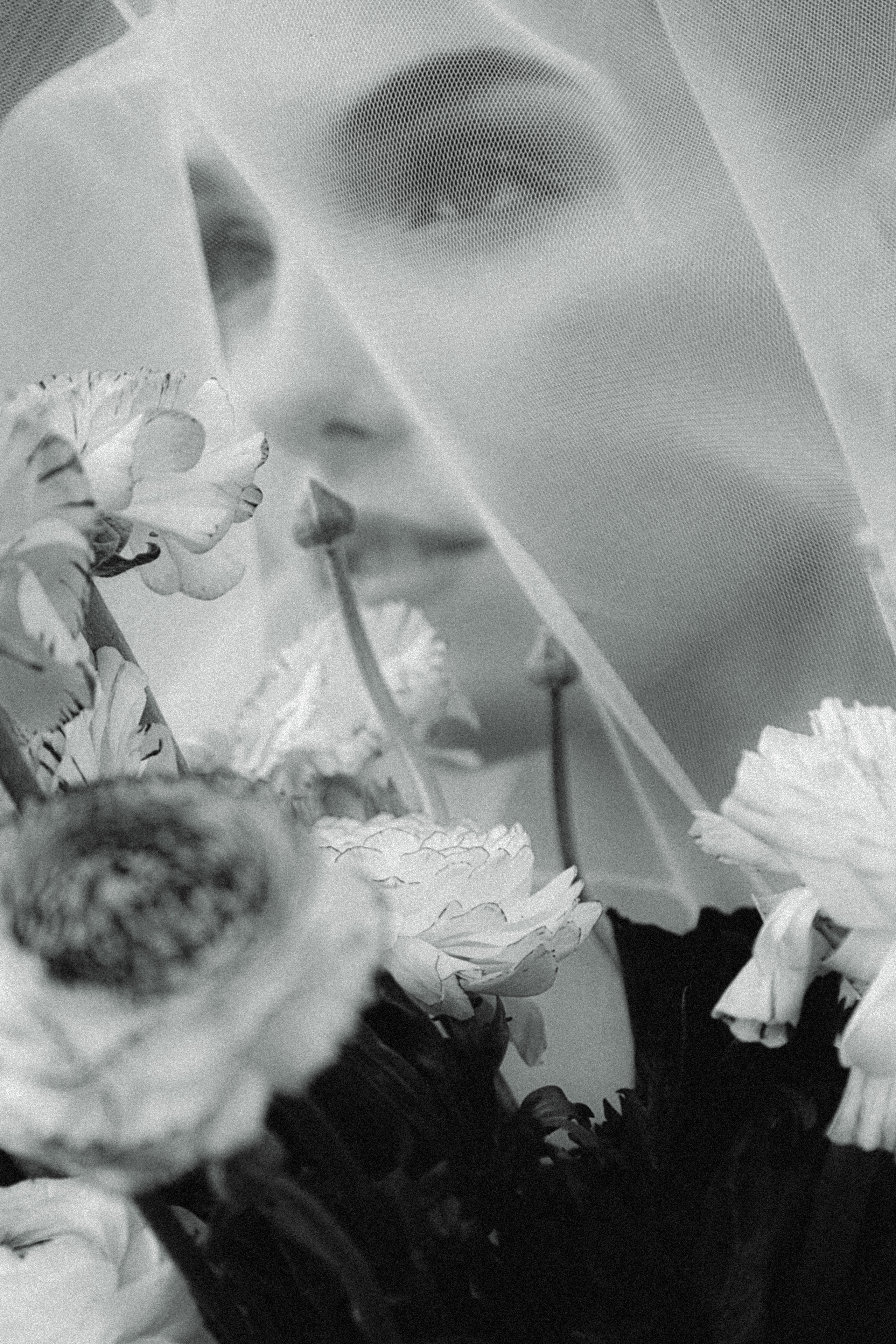 AGWEDRESS. Cause I See So Photoghraphy