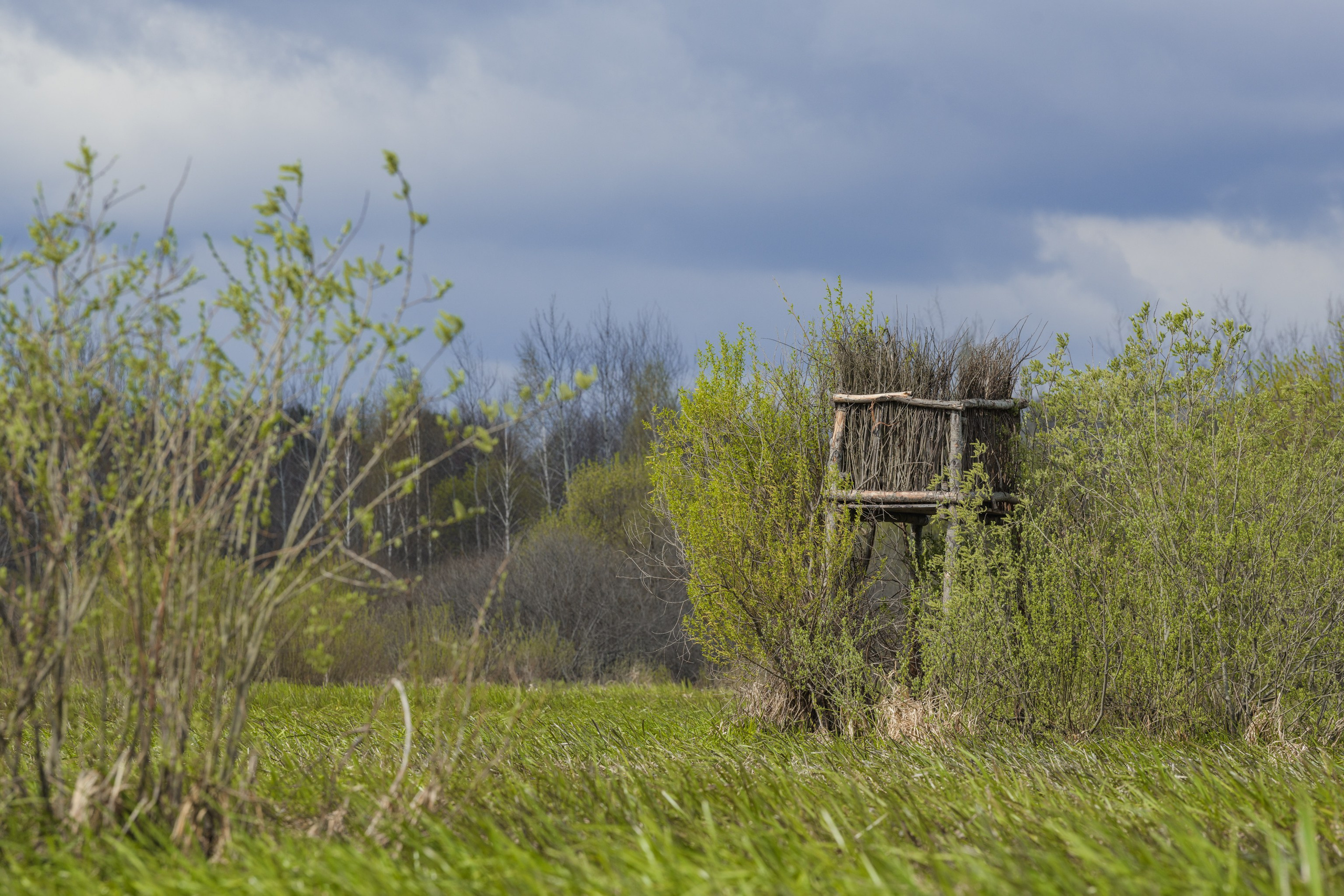 Водный поход 1-й кс по реке Случь. Репортажный фотограф Владимир Беляй