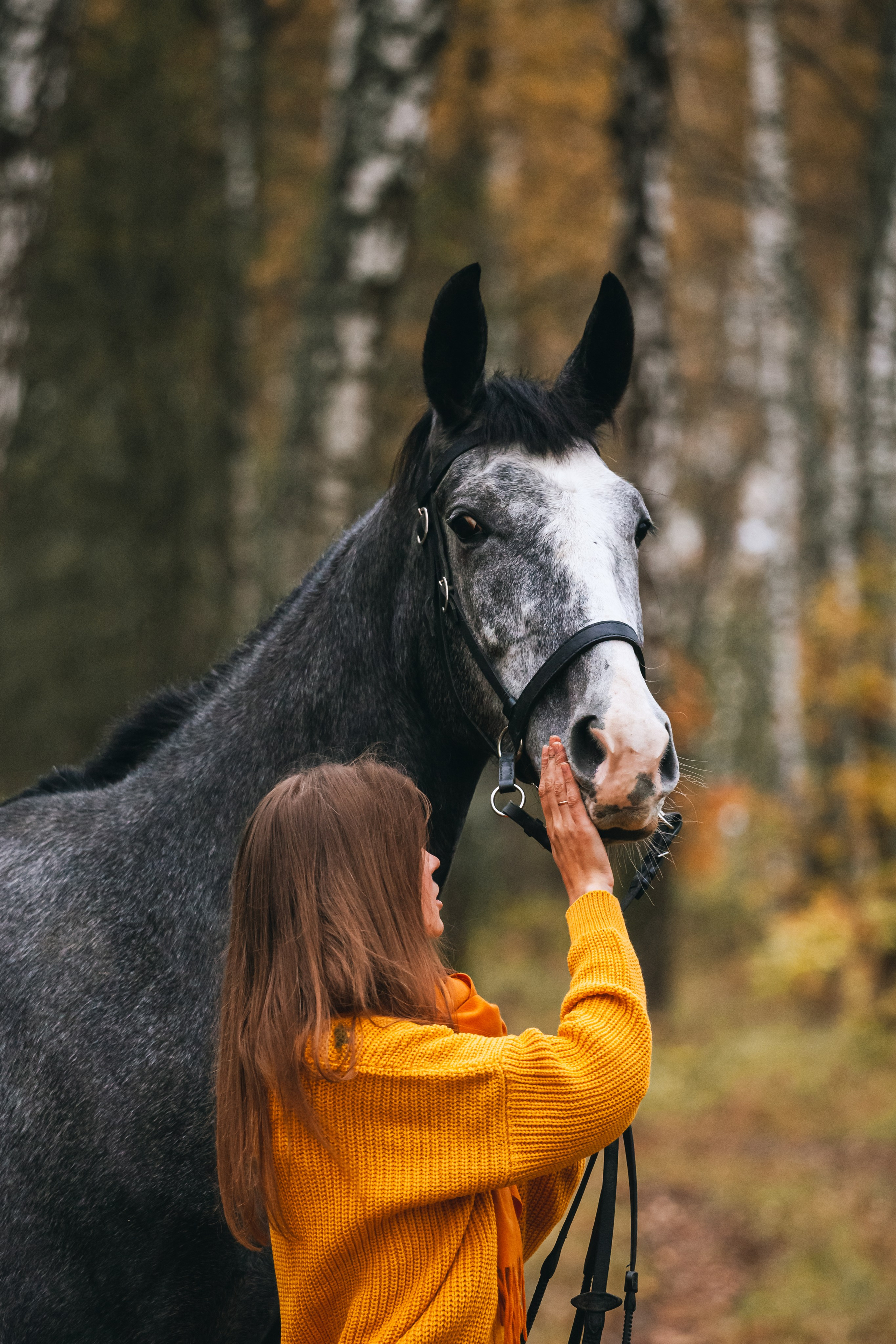 Аня и Джози. Фотограф-анималист Татьяна Степанова