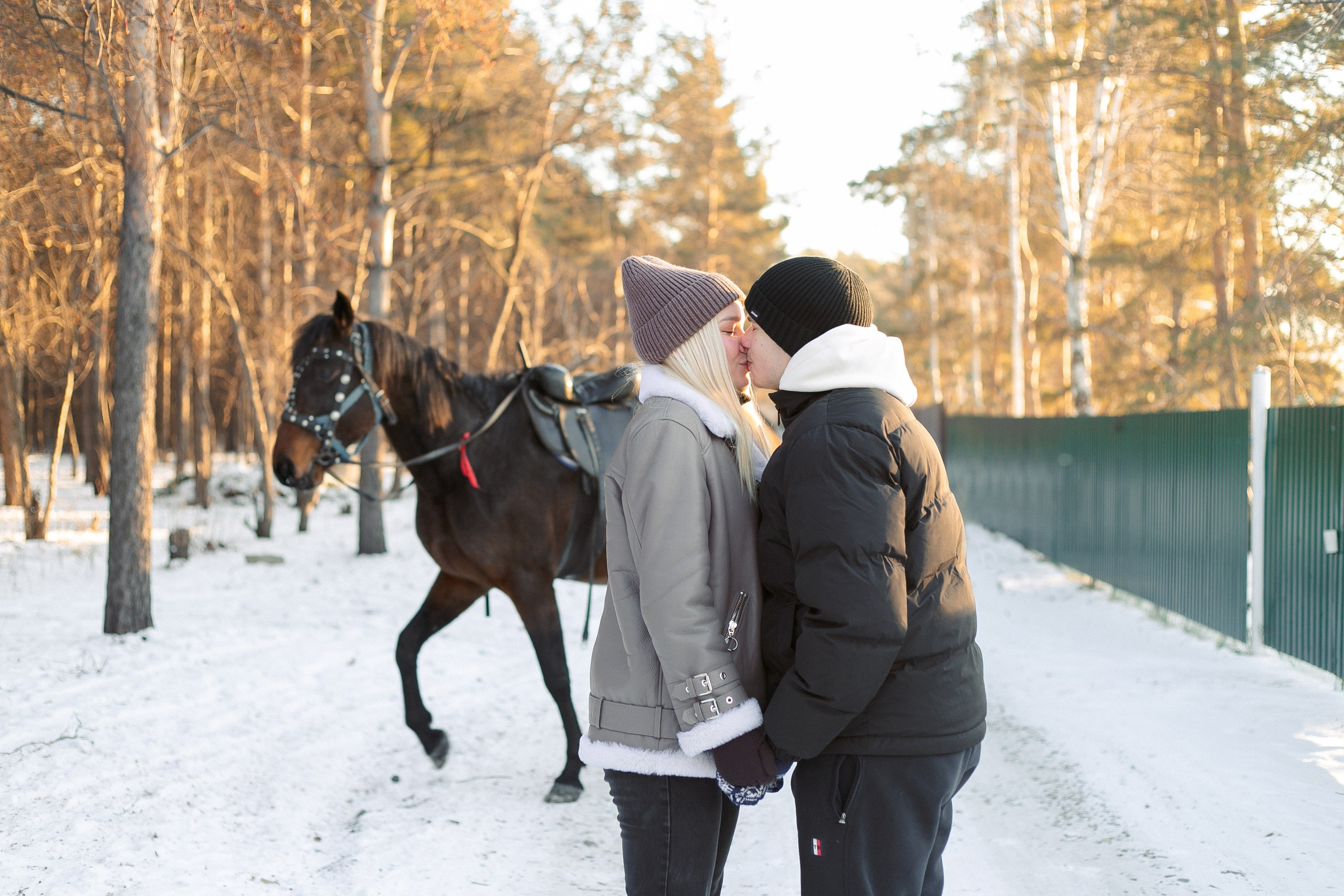 Фотосессии в Анкоре. Конные прогулки в клубе «Анкор» — Омск