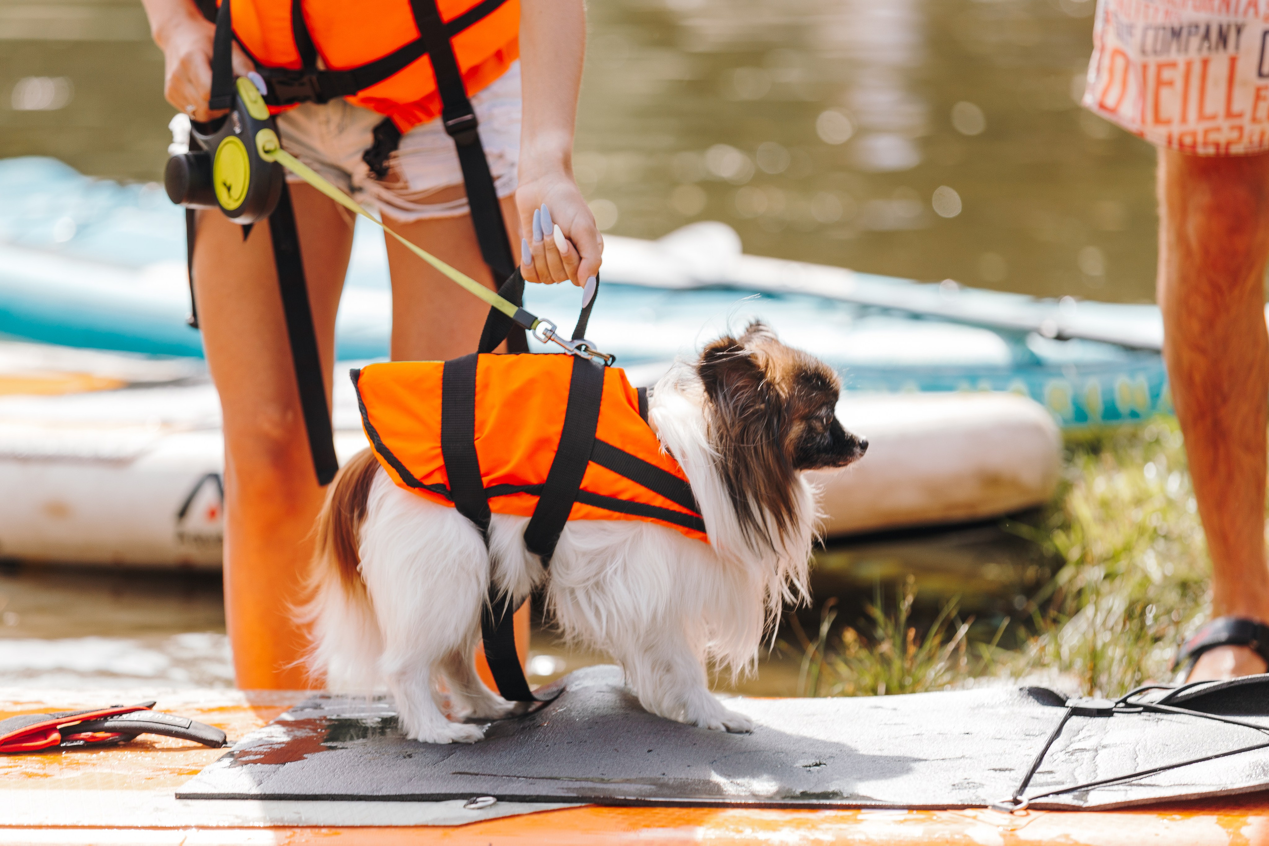 Petshop Sup day. Фотограф анималист Кристина Карпова, Москва