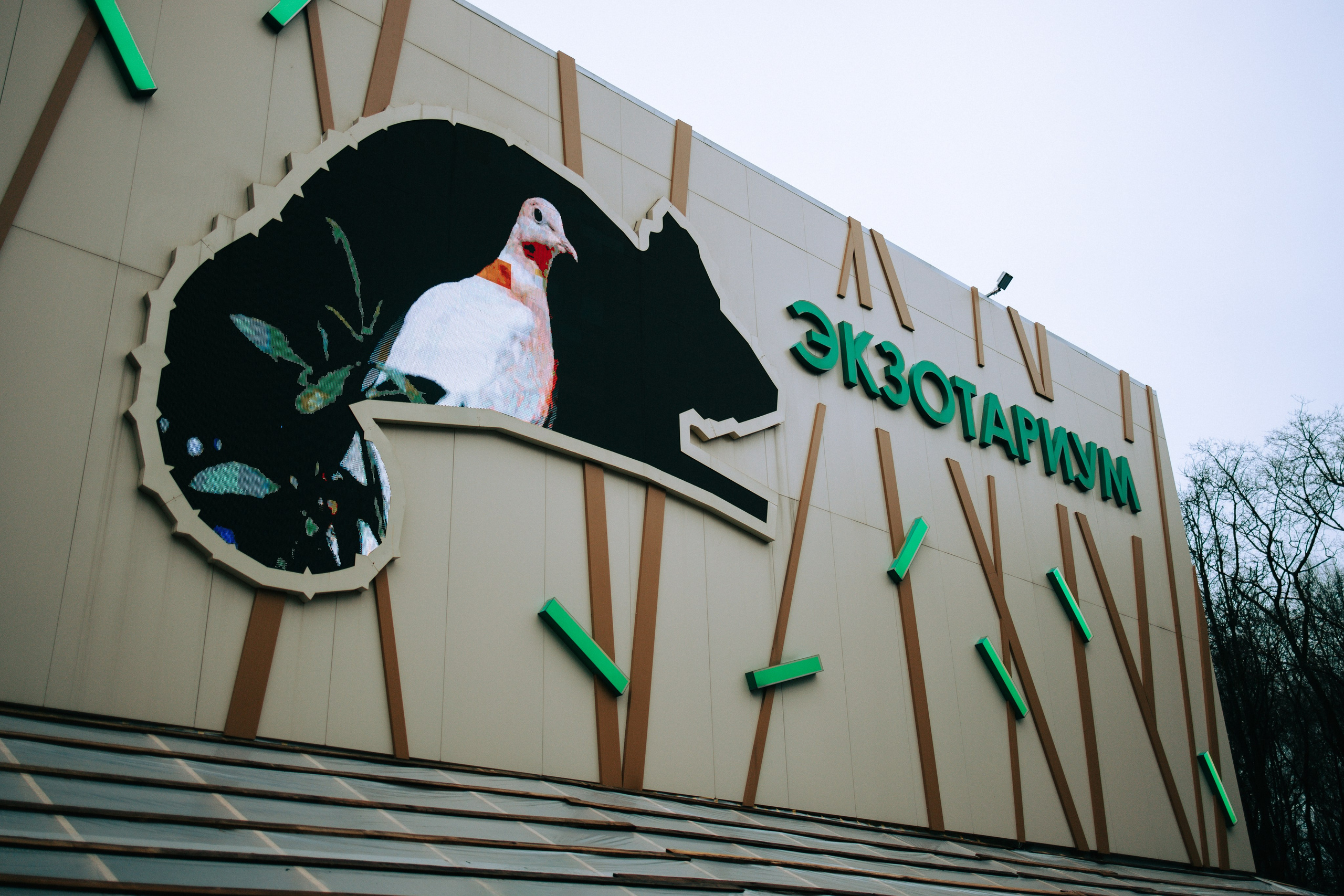 Осень, парк, экзотариум. Свадебный и семейный фотограф в Туле и области Маша Костина