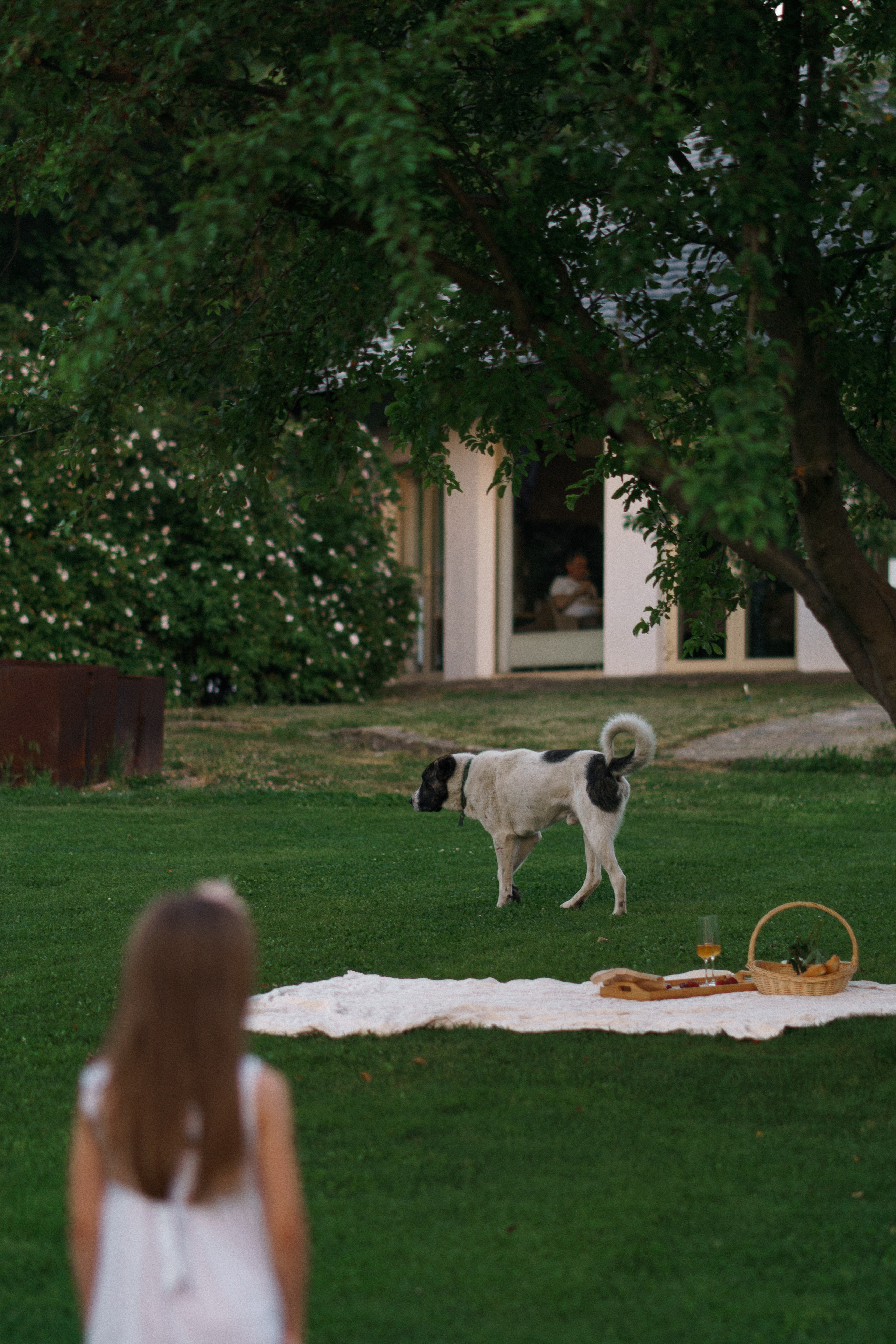 10 лет со дня свадьбы. Свадебный фотограф Корощенко Екатерина