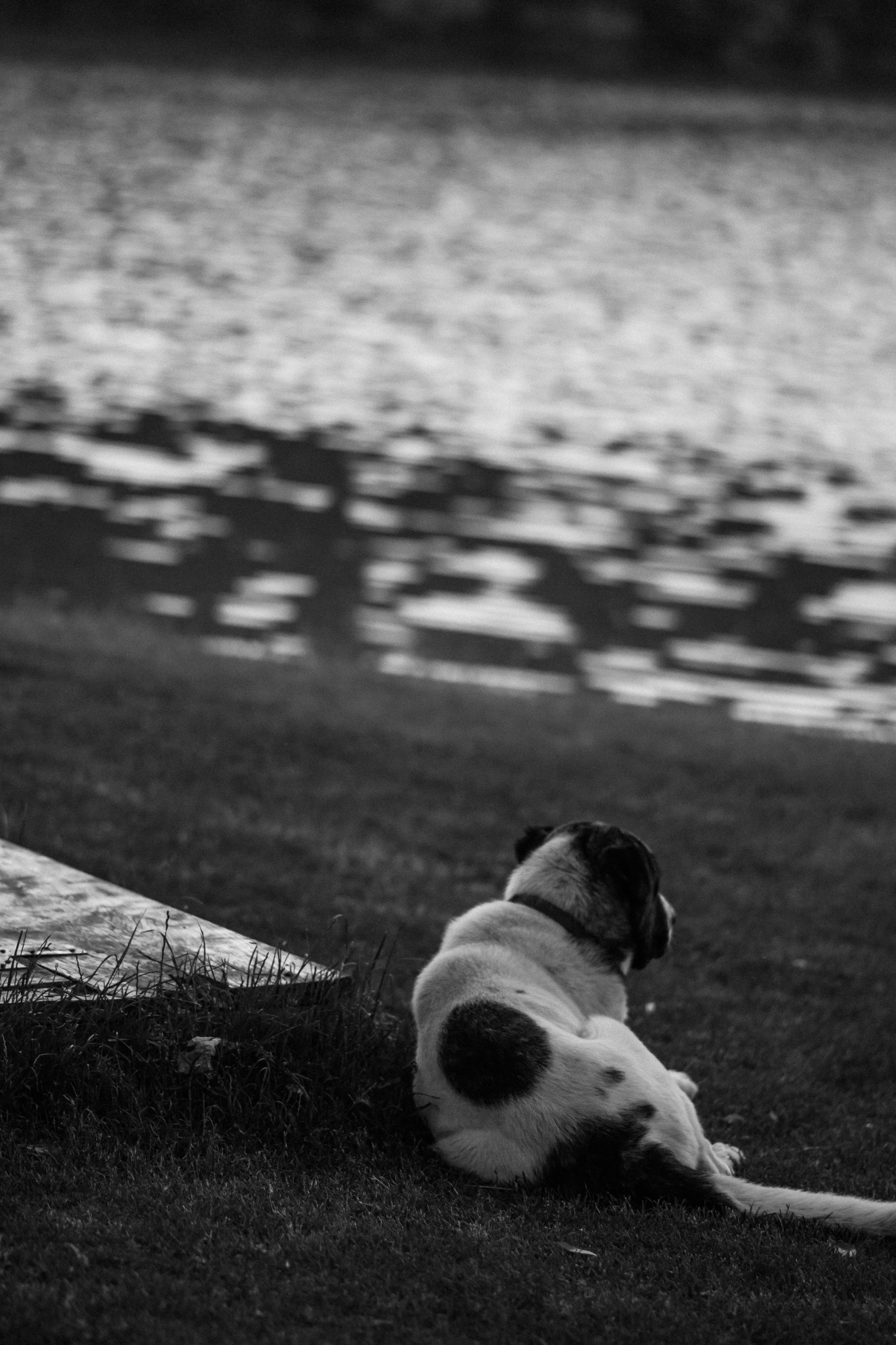 10 лет со дня свадьбы. Свадебный фотограф Корощенко Екатерина