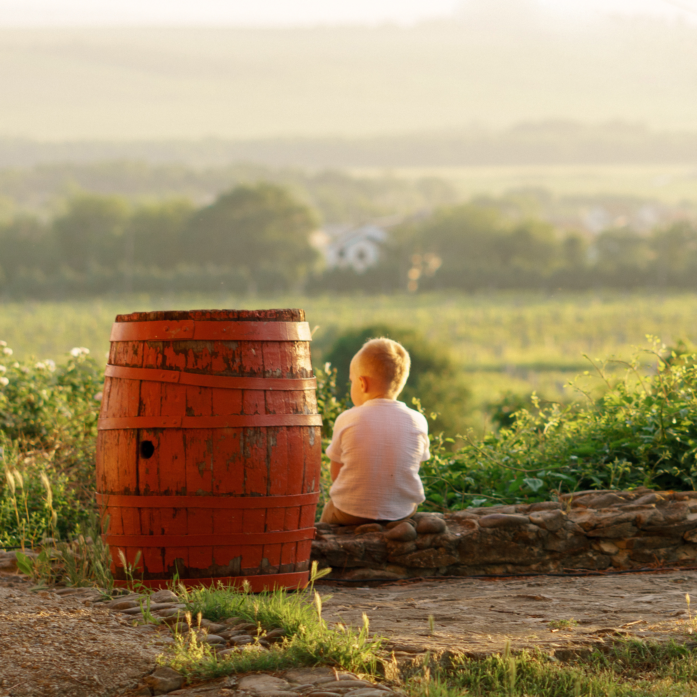 10 лет со дня свадьбы. Свадебный фотограф Корощенко Екатерина