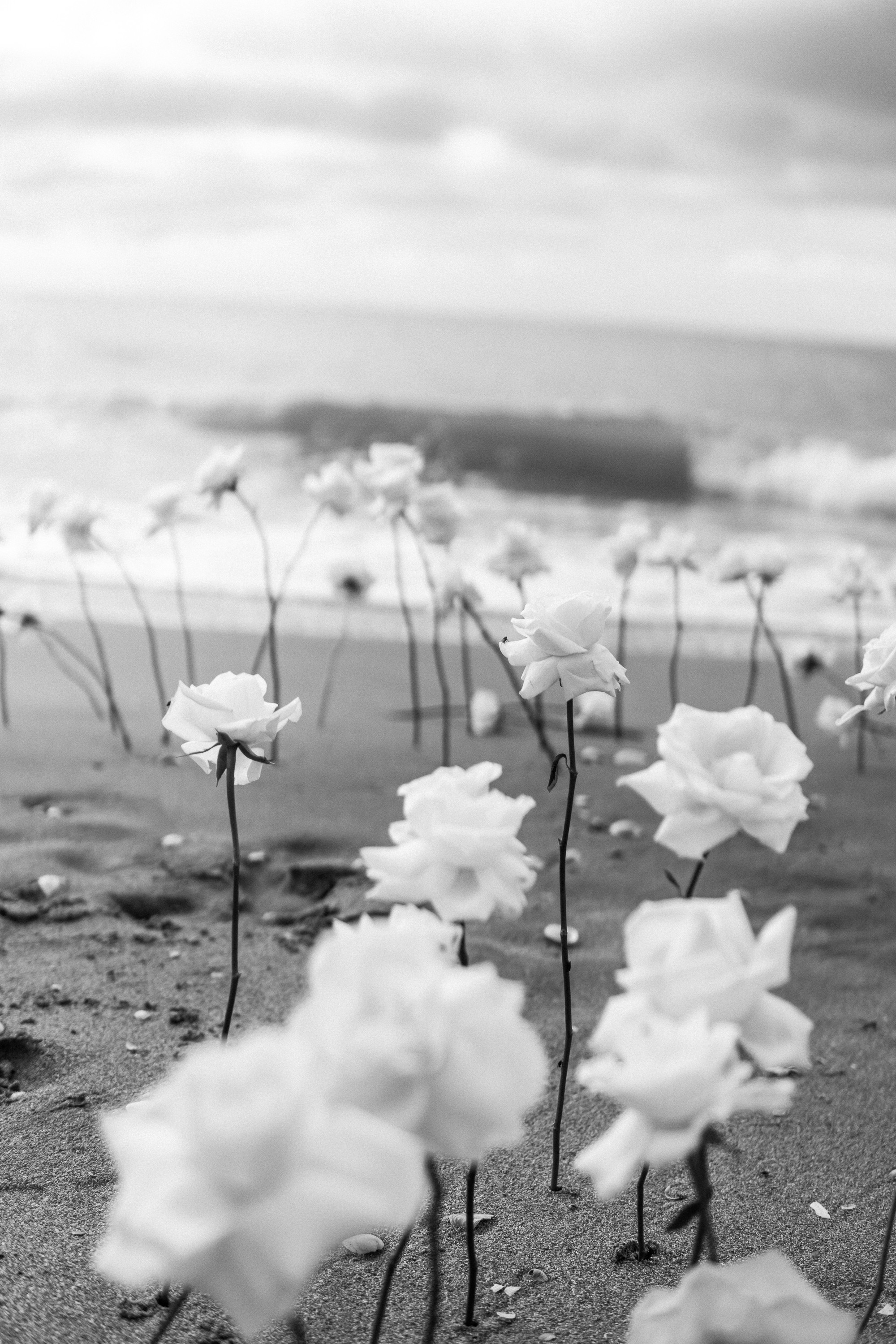 Берег Черного моря. Свадебный фотограф Корощенко Екатерина