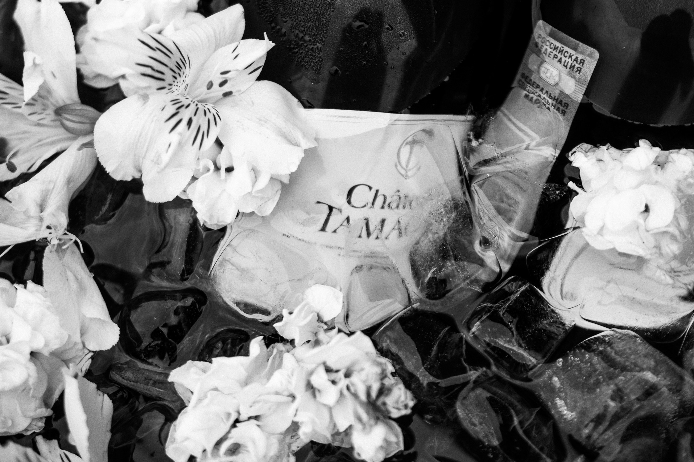 Резиденты. Свадебный фотограф Корощенко Екатерина