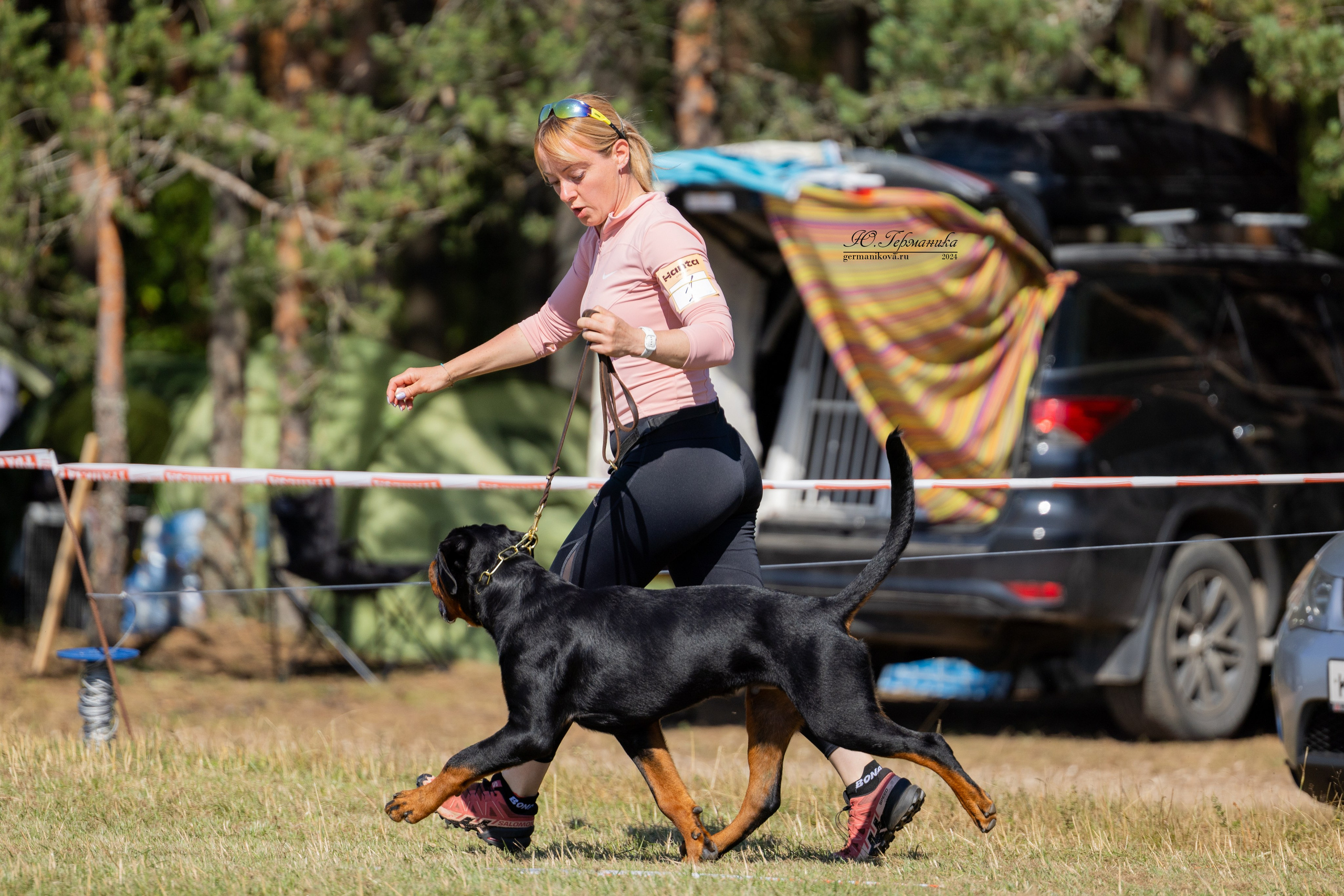 ПК и КЧК ротвейлеры Тверь 6-7.07.2024. Фотограф-анималист Юлия Германика