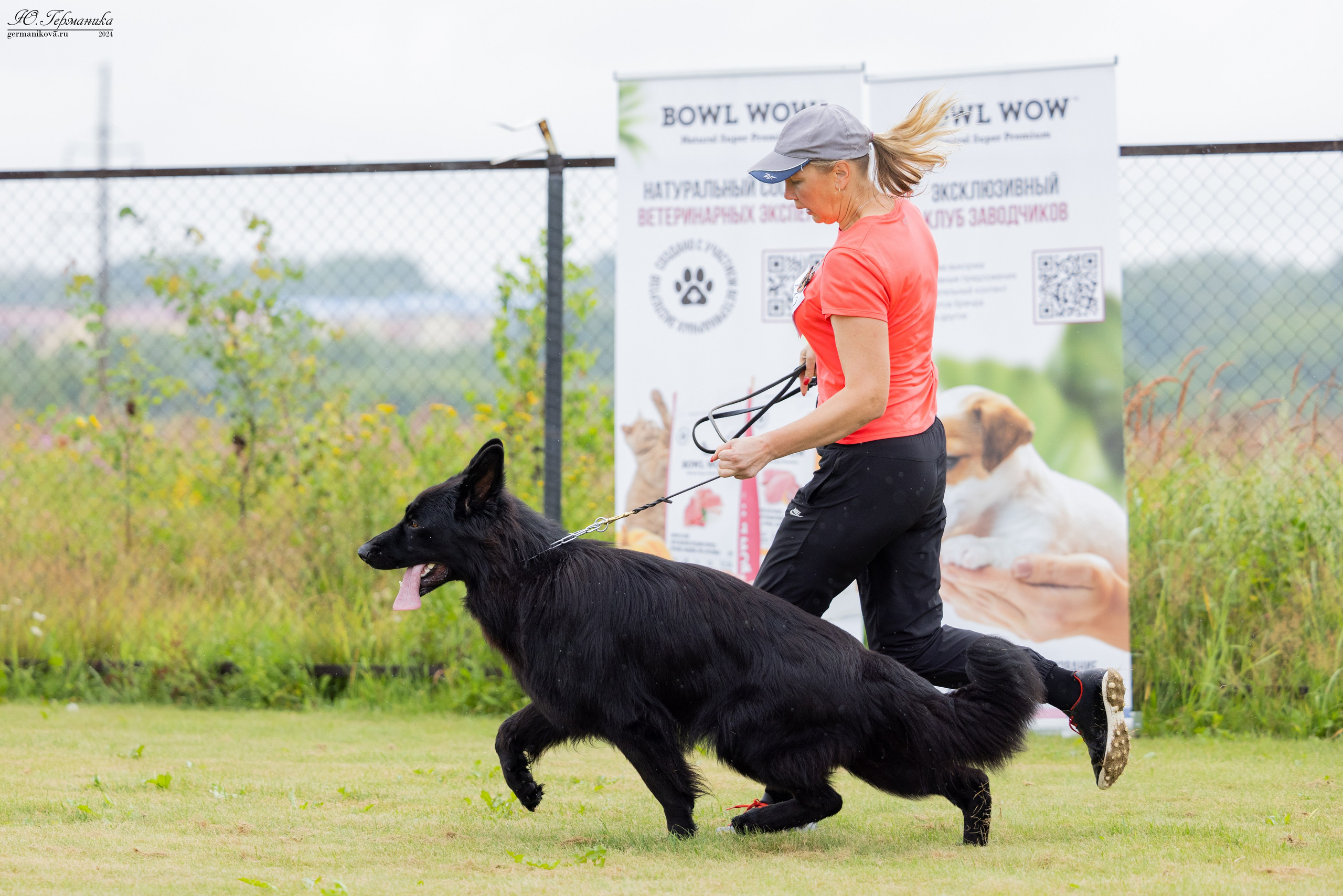 Ярославль 21.07.24 и Балашиха 13.07.24. Фотограф-анималист Юлия Германика