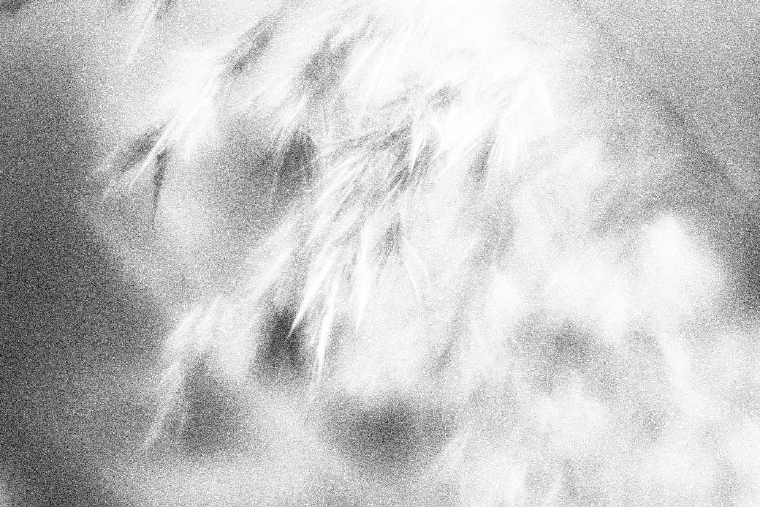 Внутривенные сны (2023)