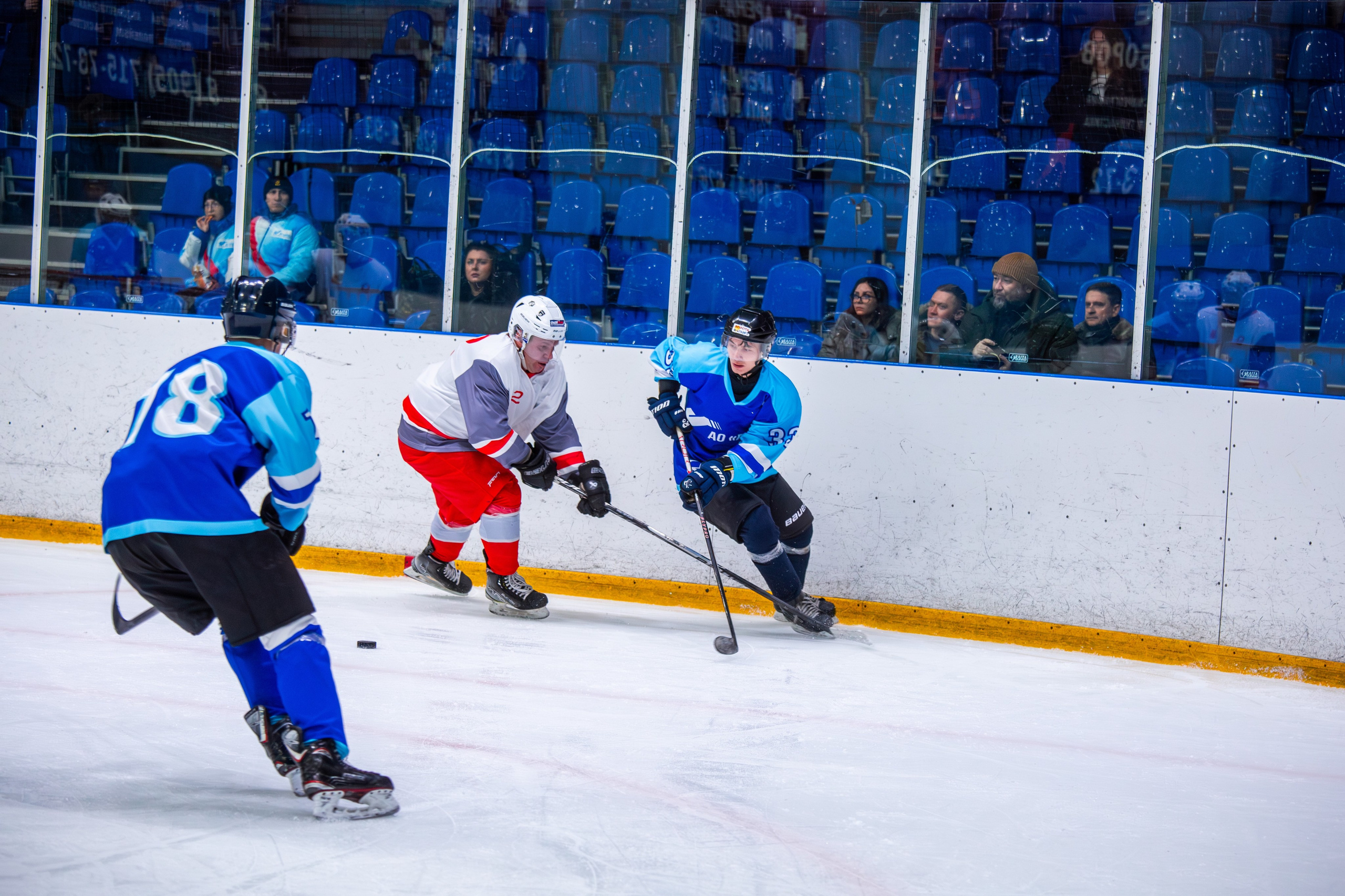 Чемпионат по хоккею. Репортажный, семейный, свадебный, портретный фотограф