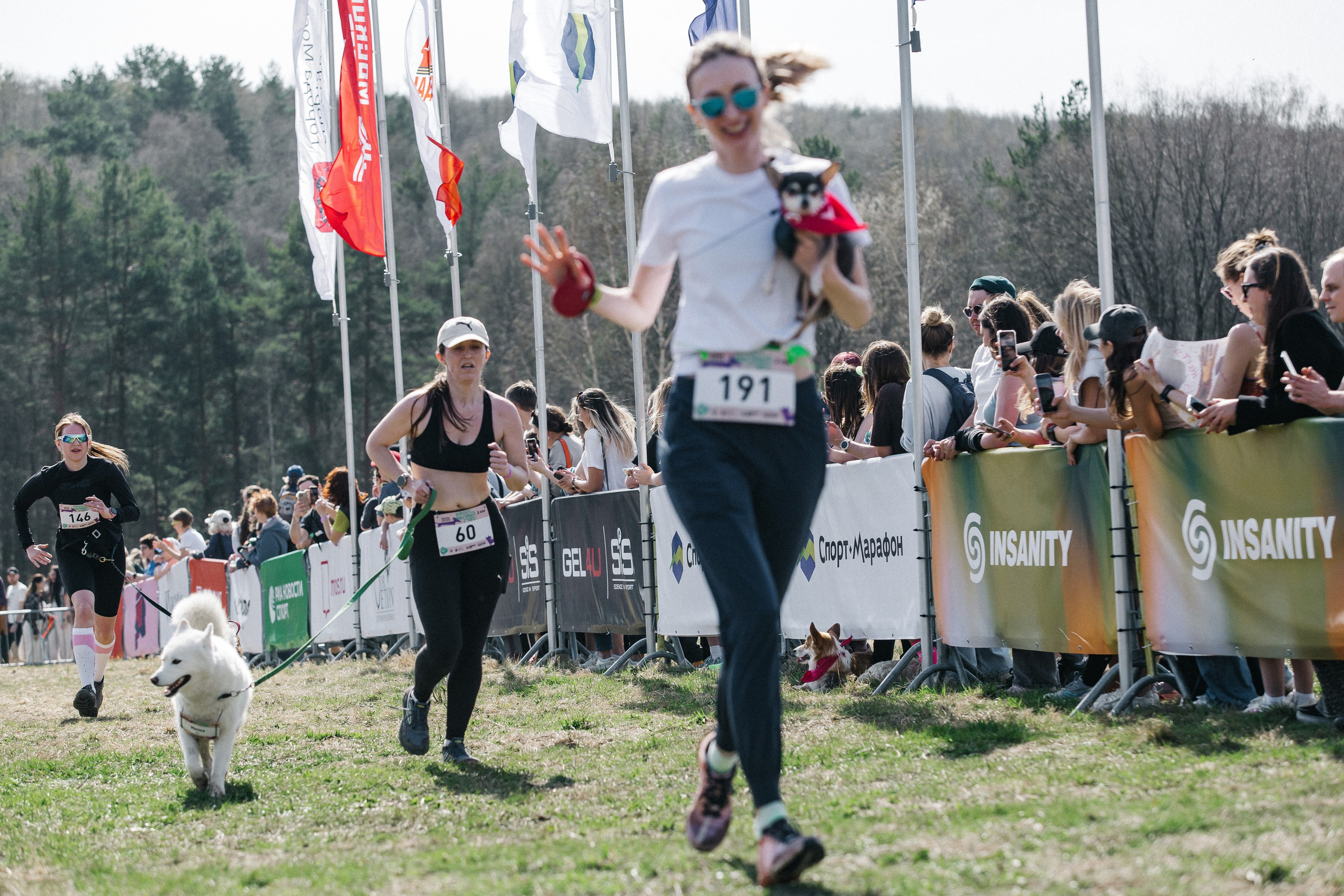 Кросс «Быстрый пёс» 2025. Репортажный фотограф в Москве