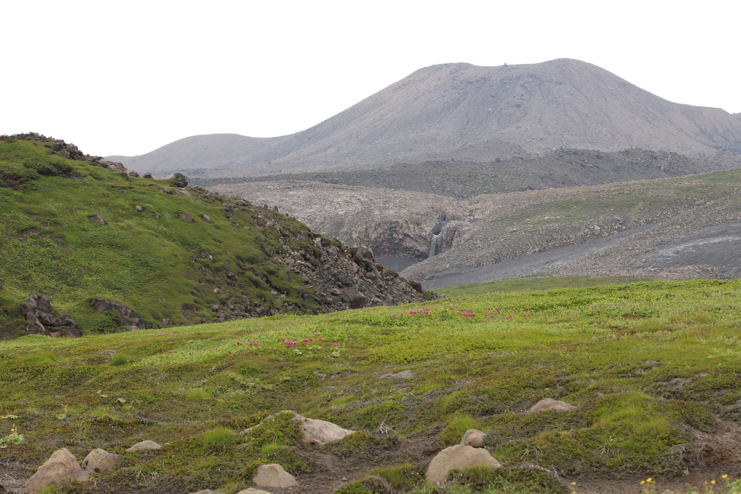 Камчатка и о. Парамушир. Июль 2024. Путешественник-фотограф из Санкт-Петербурга Татьяна Свистулина
