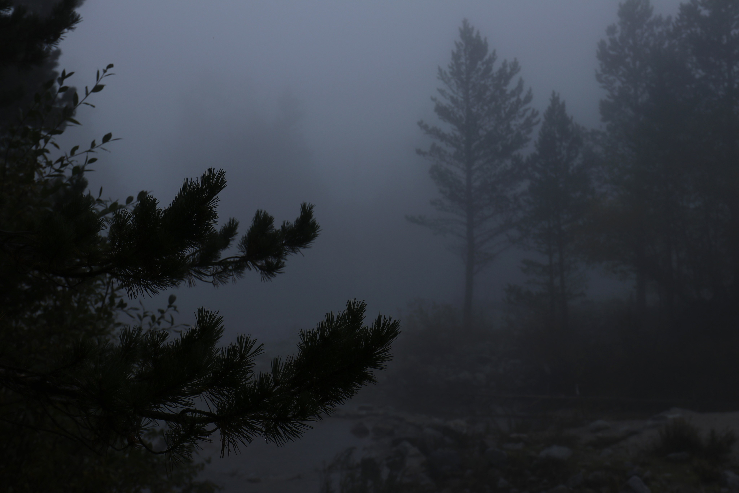 Приэльбрусье. Сентябрь 2024. Путешественник-фотограф из Санкт-Петербурга Татьяна Свистулина