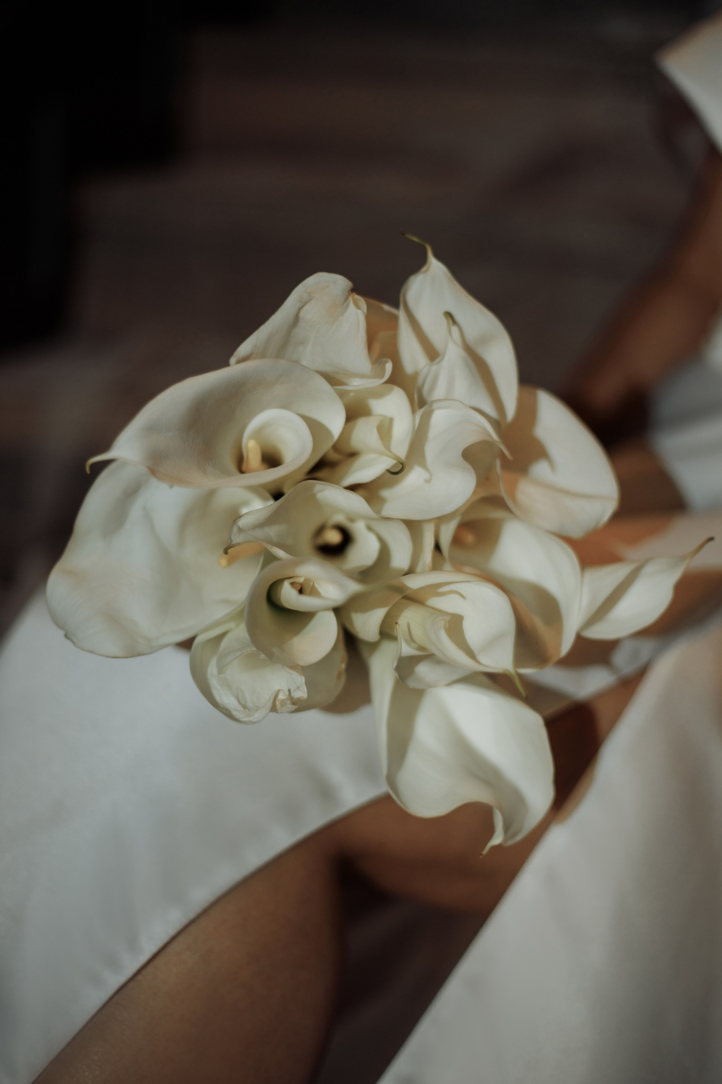 I|E камерная. Свадебный и семейный фотограф в Саратове Анжела Борисова