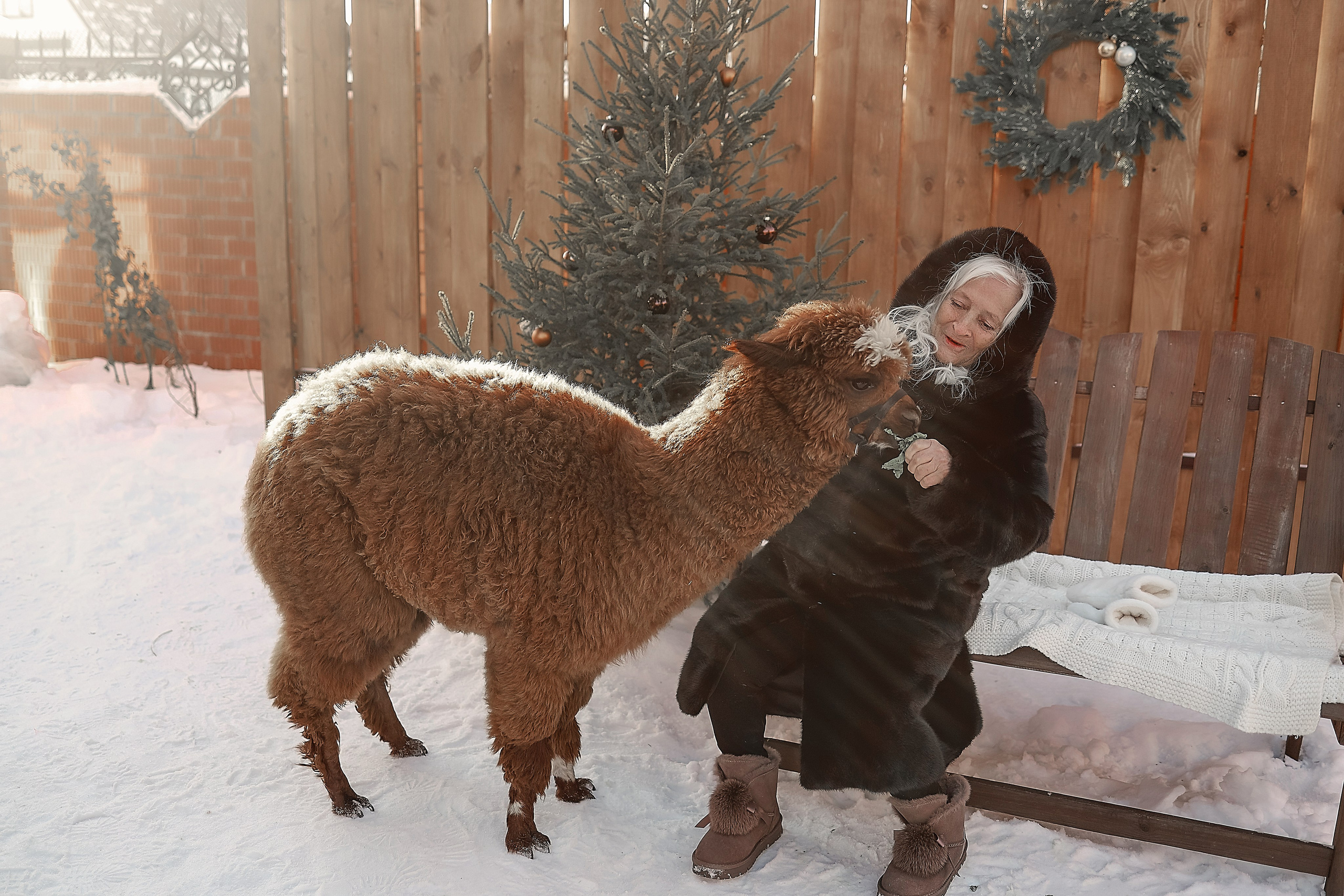 Семейная съемка с Альпакой!. Иванова Ирина Свадебный и семейный фотограф г. Уфа