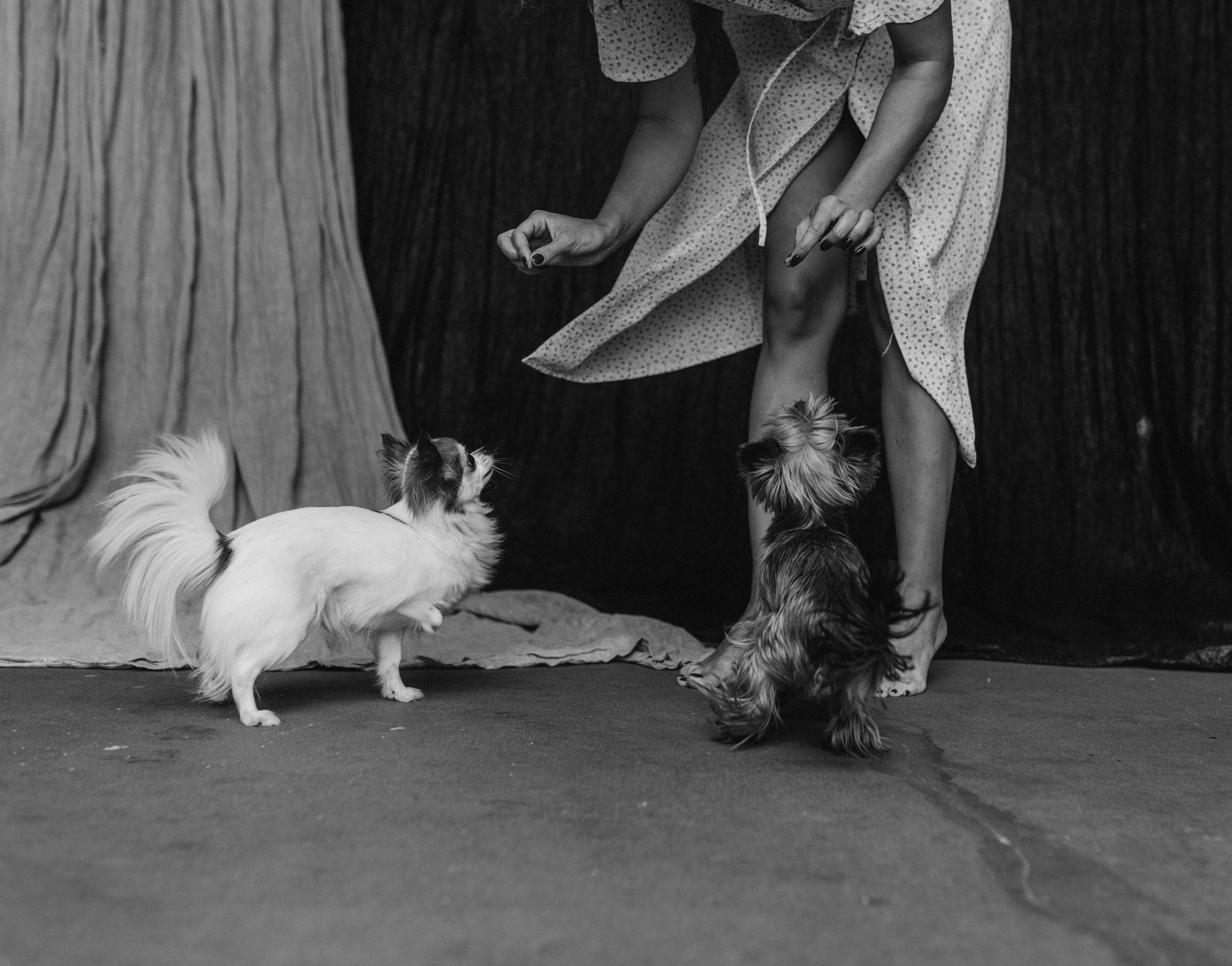 Габриела и ее хвостики. Татьяна Афонина | Фотограф