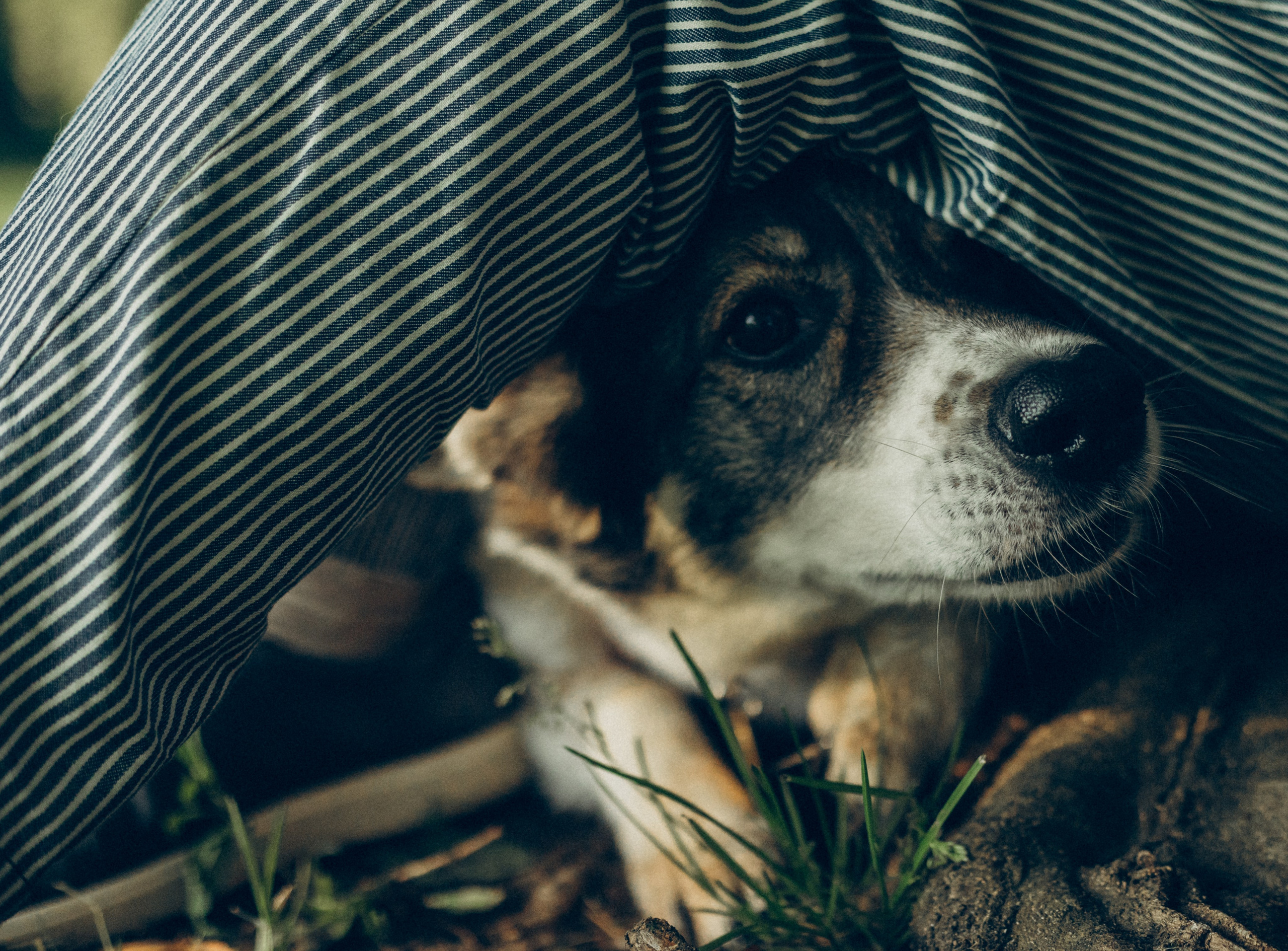 Варя и Зося. Татьяна Афонина | Фотограф