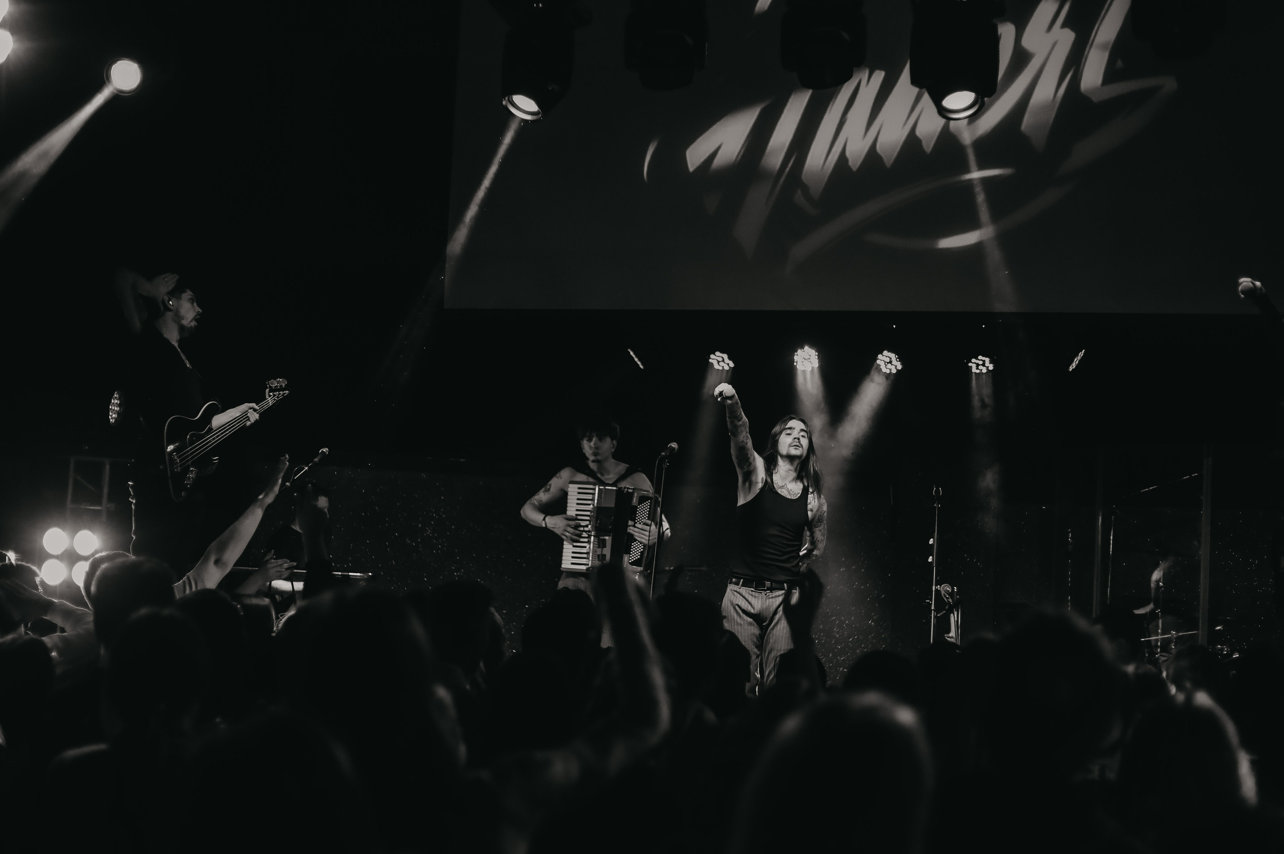 The Hatters. Фотограф Елизавета Колесникова