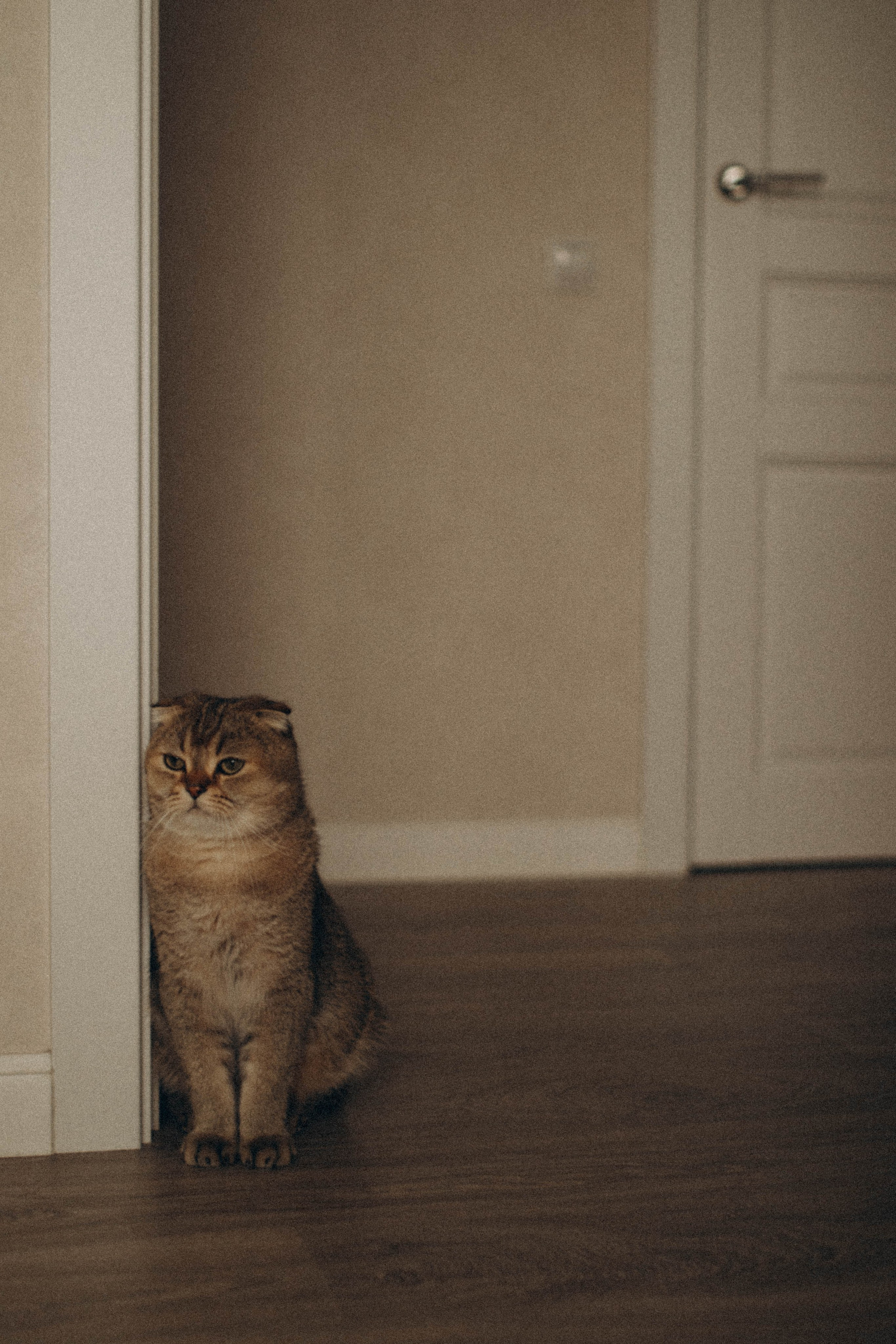 Пижамная фотосессия Проект 12 месяцев. Детский, семейный фотограф в Тюмени Алеся Плужник