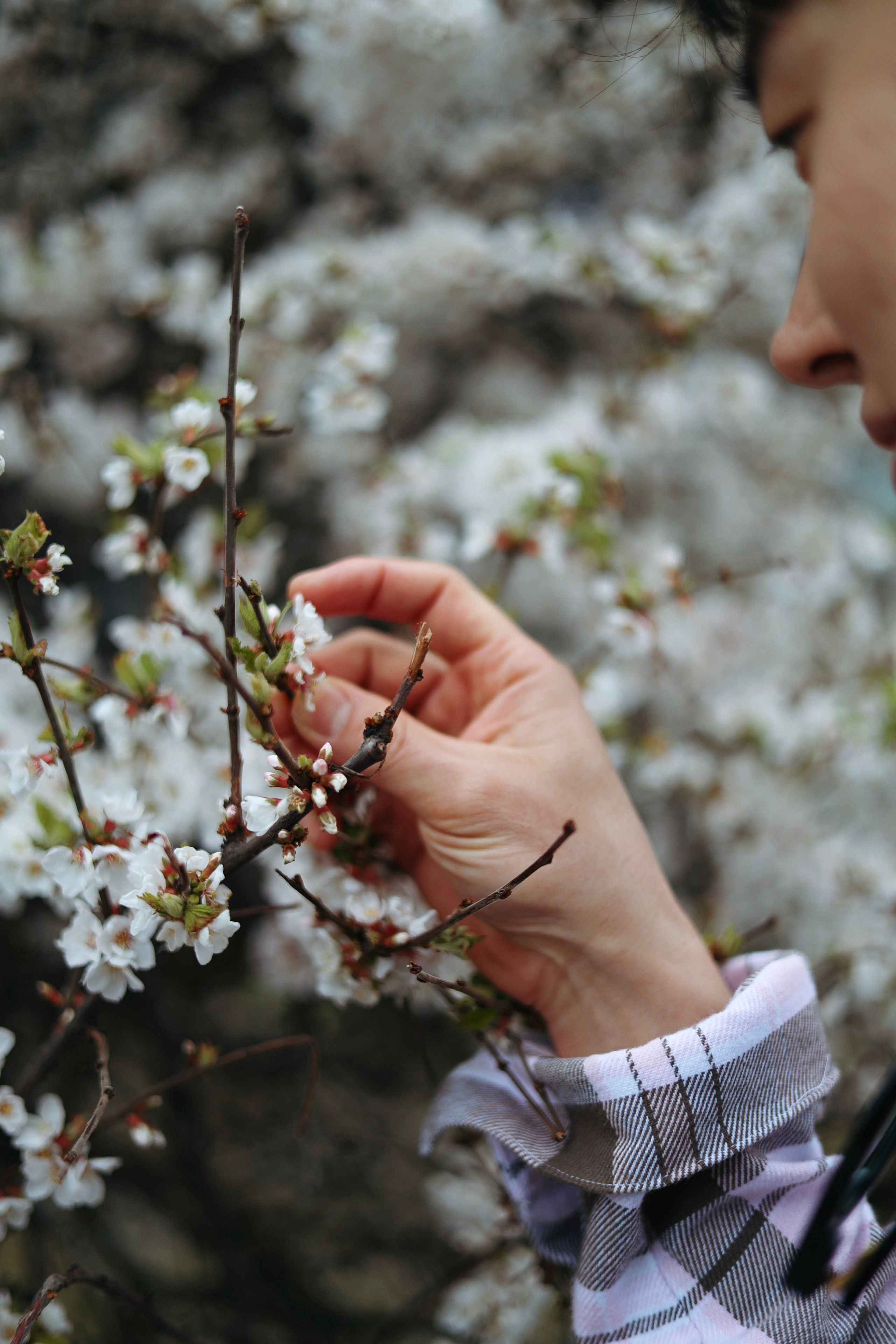 Blossom. Фотосессии в Москве и Санкт-Петербурге, а также по столицам стран Евро