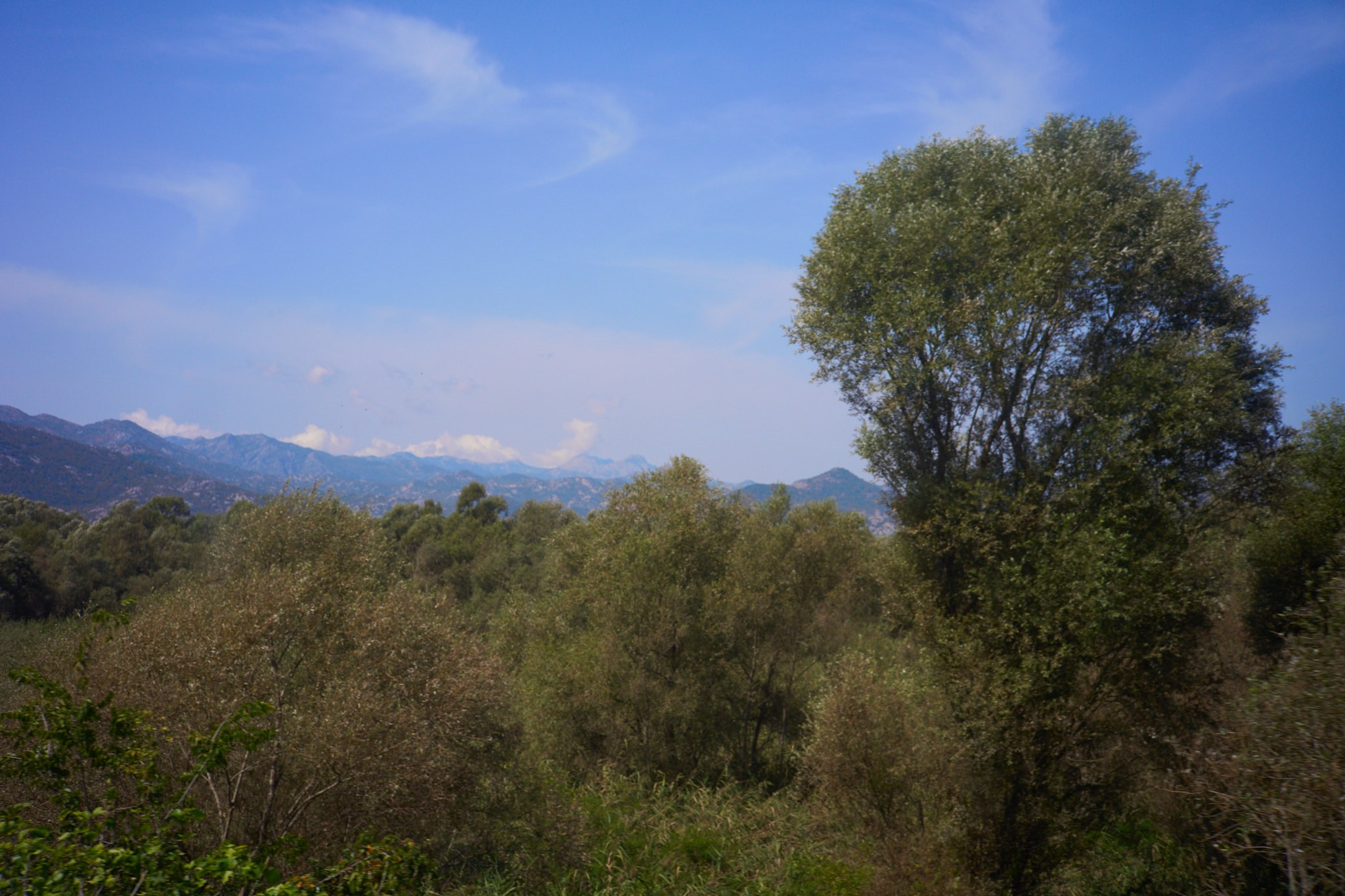 Черногория, сентябрь 2024. Фотограф, Римма Невинская