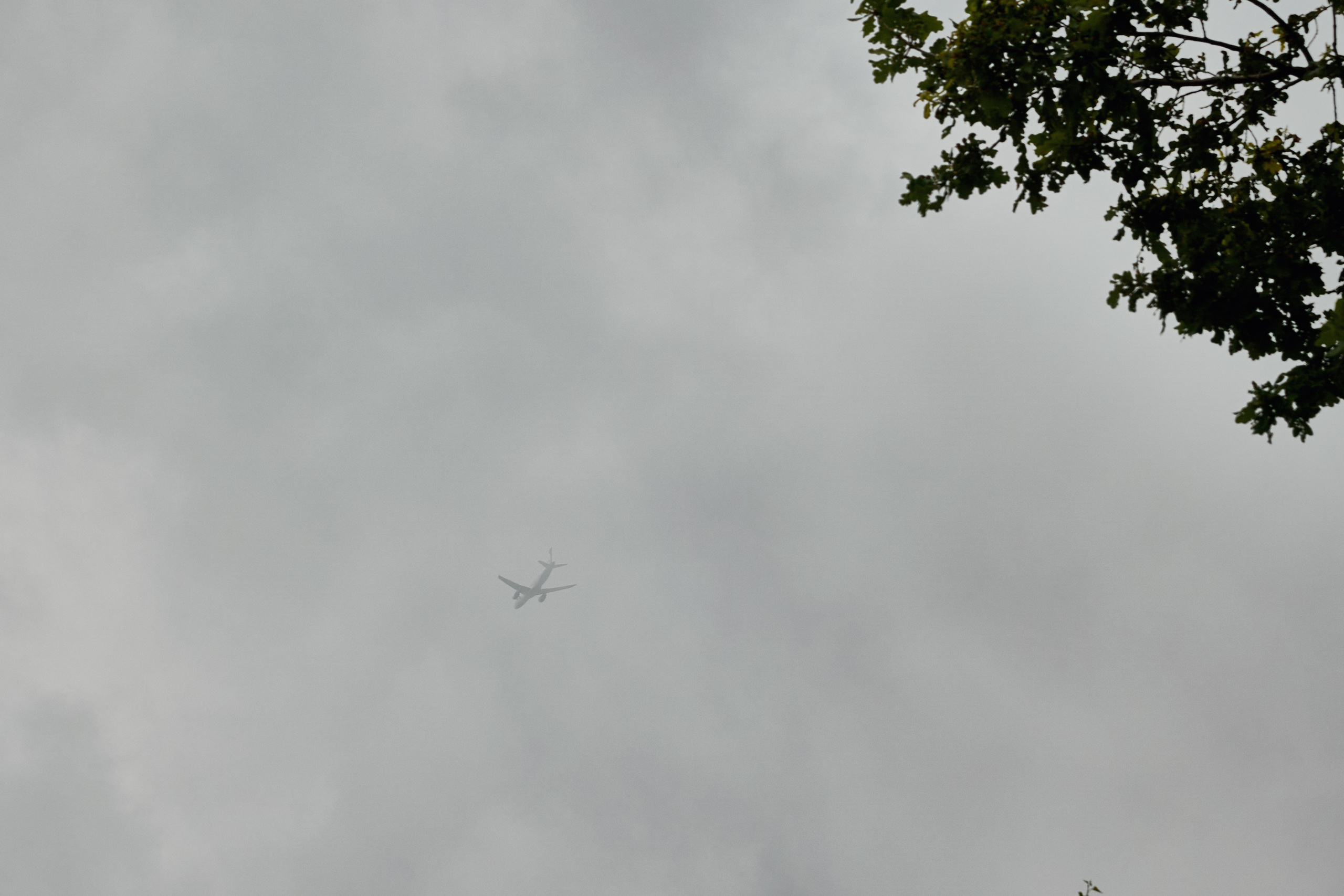 Мария и Александр