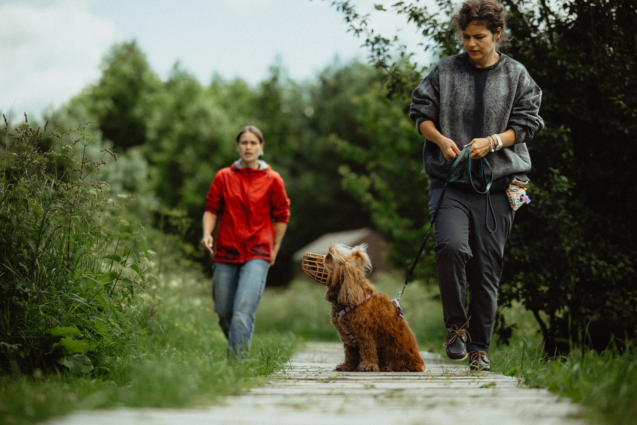 Выездной дог-тренинг от школы «Шерсть имею»