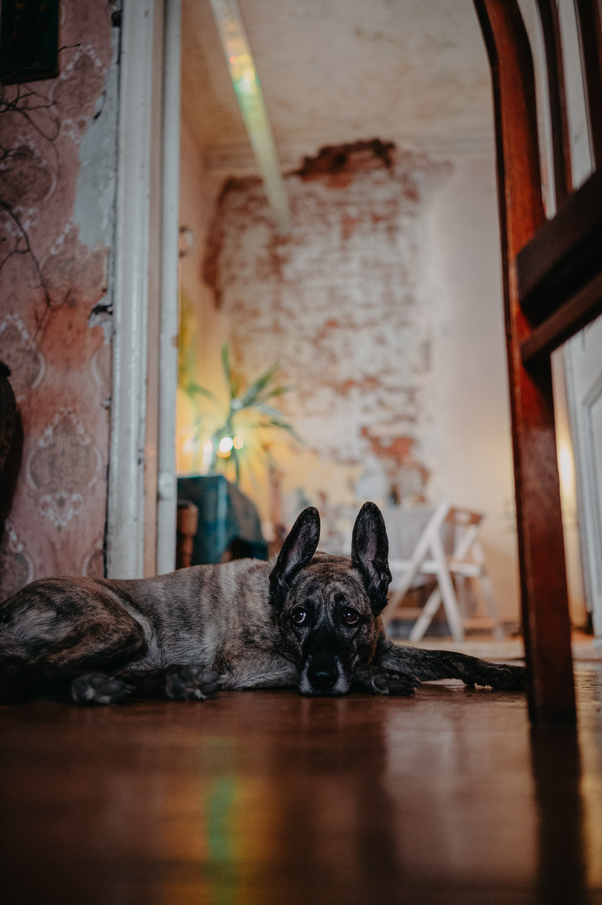 Контент фотограф Илья Урс