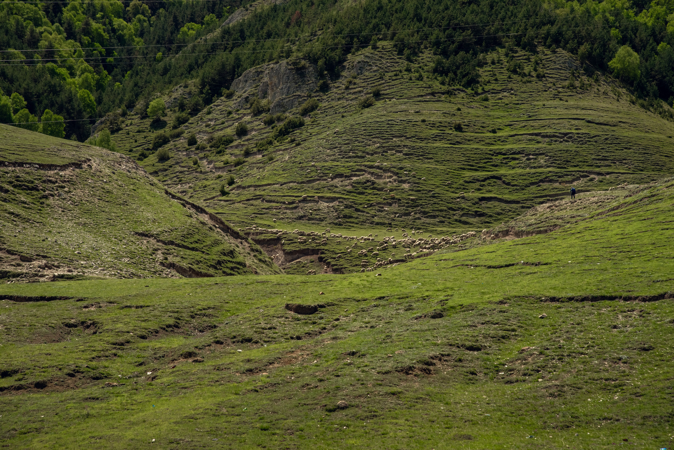 Дагестан. Фотограф Крещение Венчание Москва