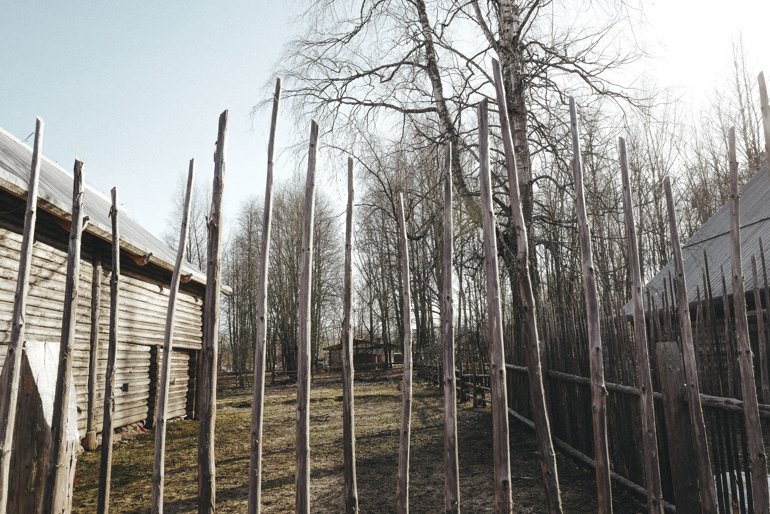 Vitoslavici/Novgorod. <3