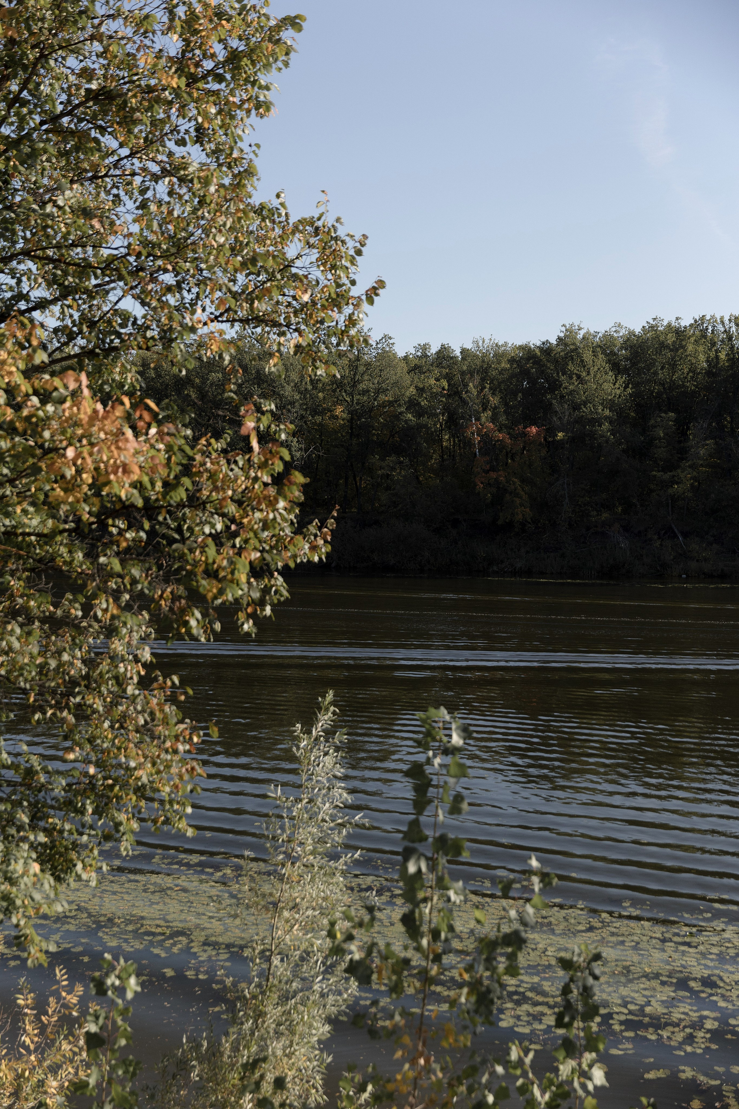 Слияние. Свадебный и семейный фотограф в Самаре Стрельникова Ирина