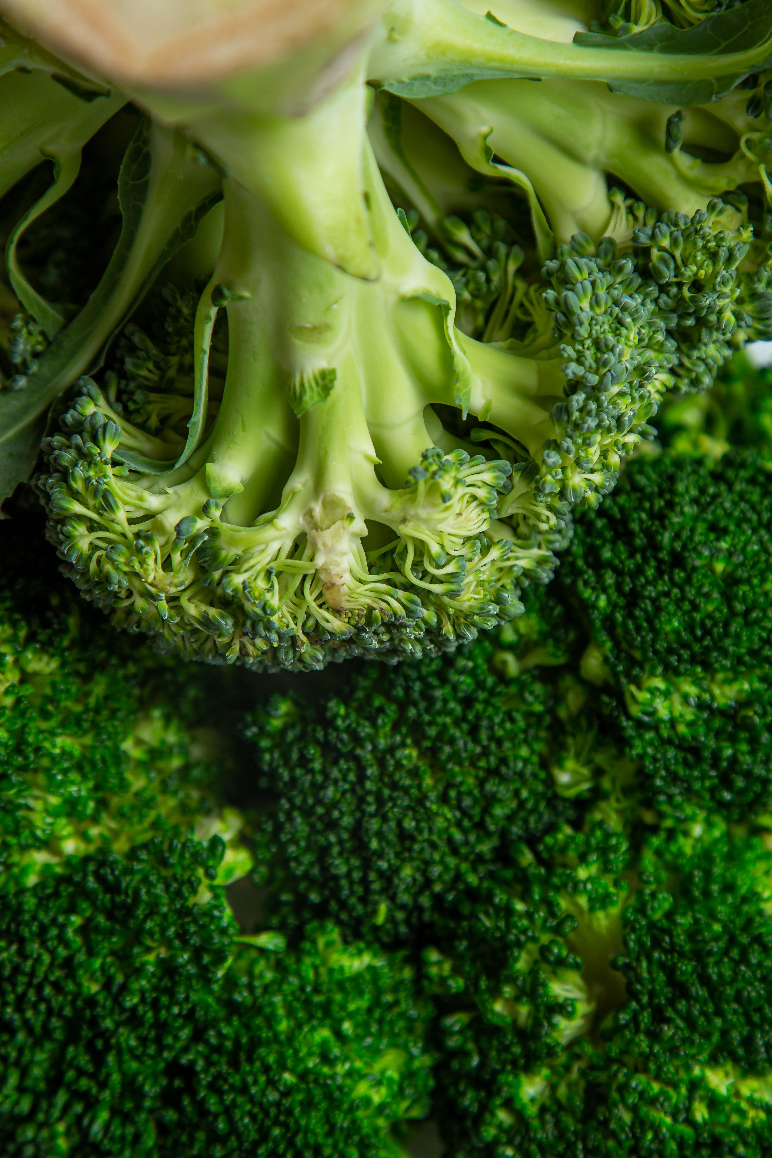 Предметкая и фуд фотография