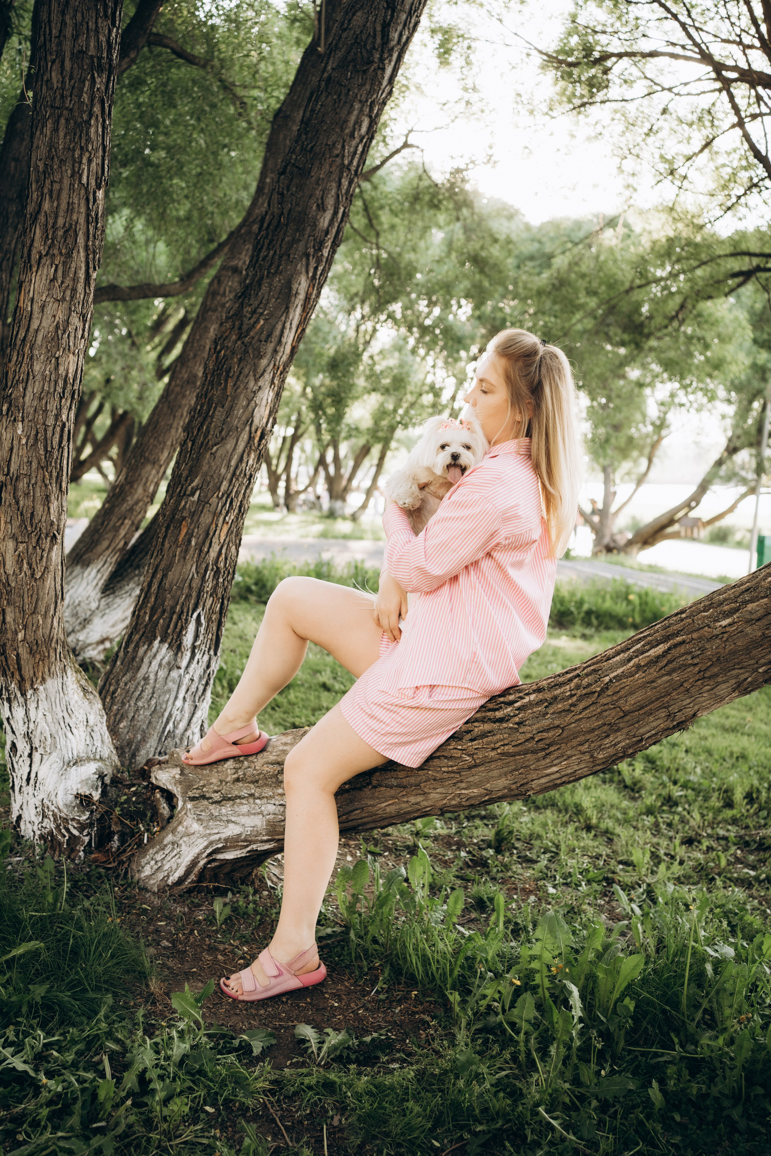 Лиза. Фотограф-анималист Анастасия Большакова