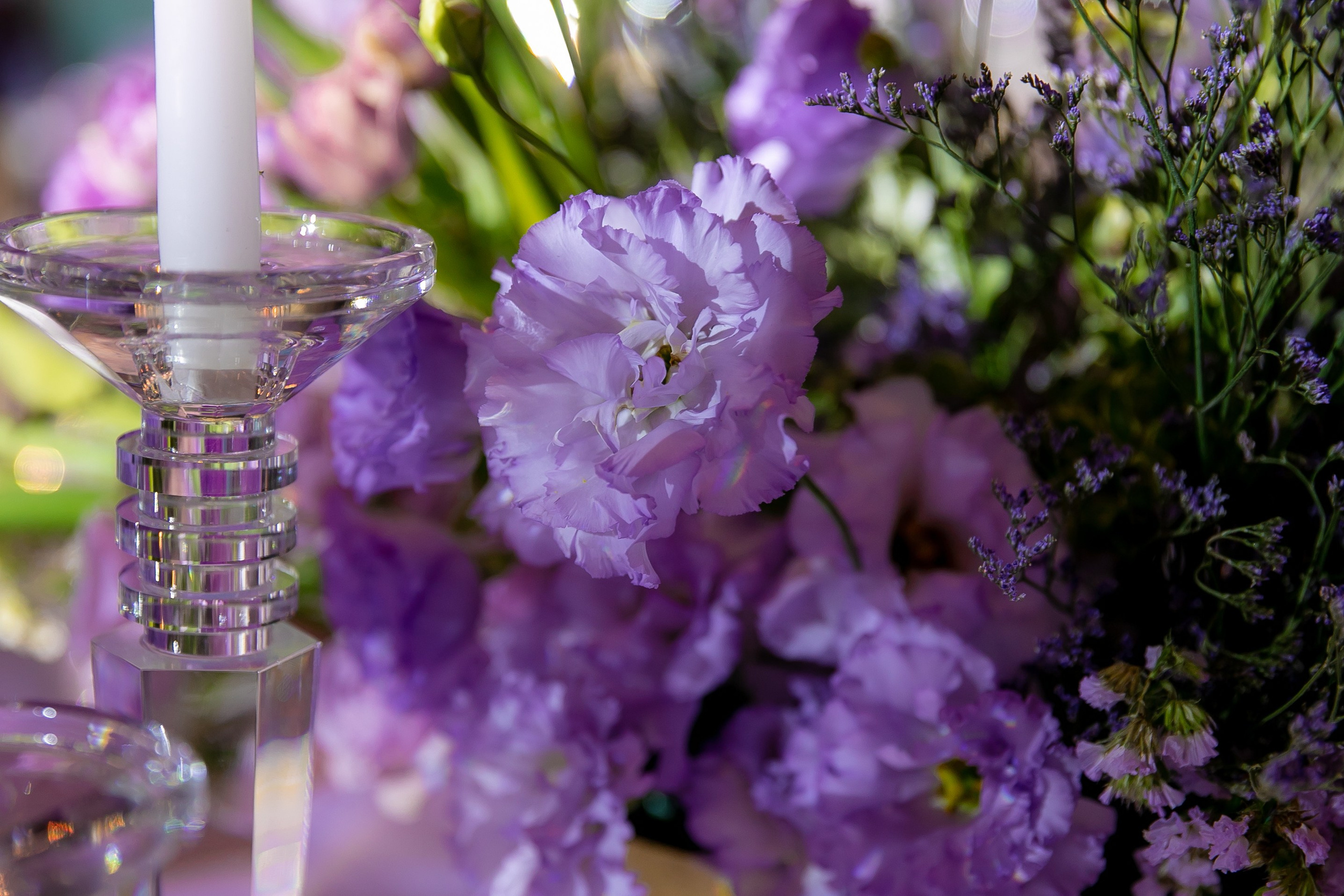 Дни рождения взрослые. Семейный фотограф в Москве