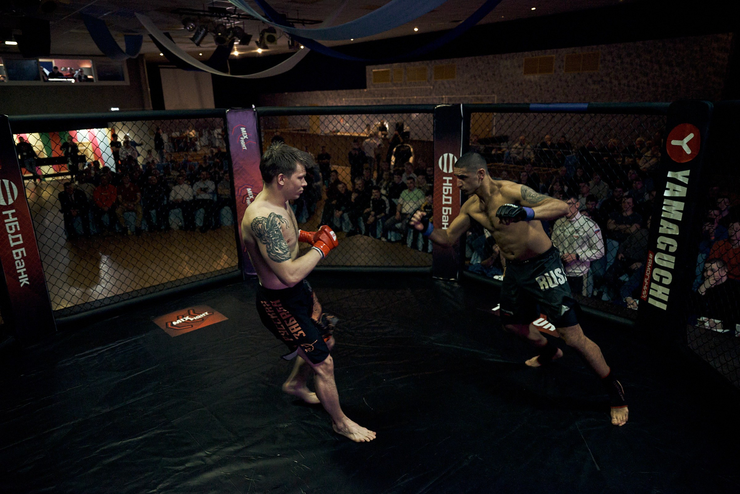 Бои. Маляревич Дмитрий свадебный фотограф