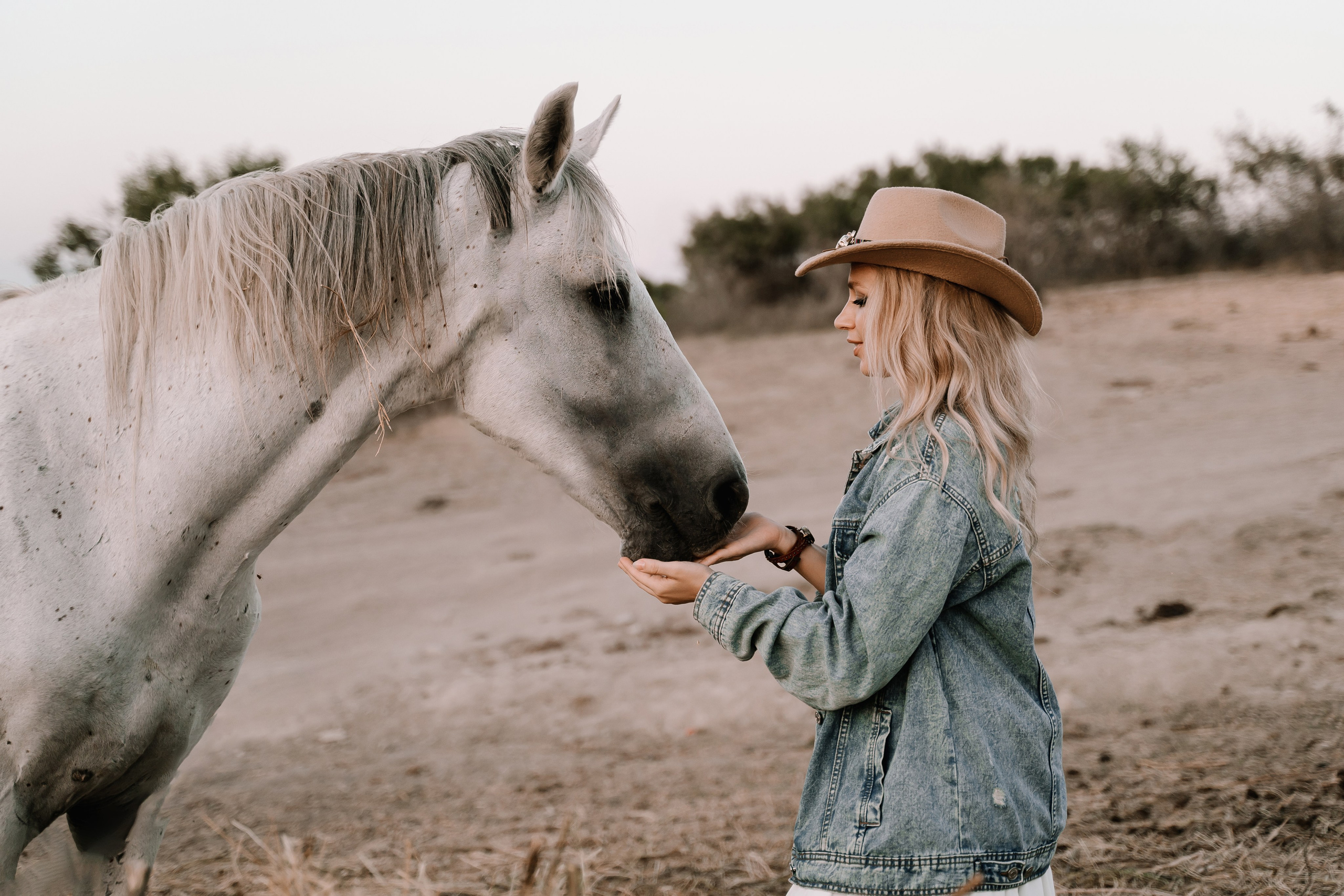 Фотосессия на конюшне. Карпенко Марина свадебный и семейный фотограф Анапа, Краснодар, Геленджик, Сочи, Темрюк