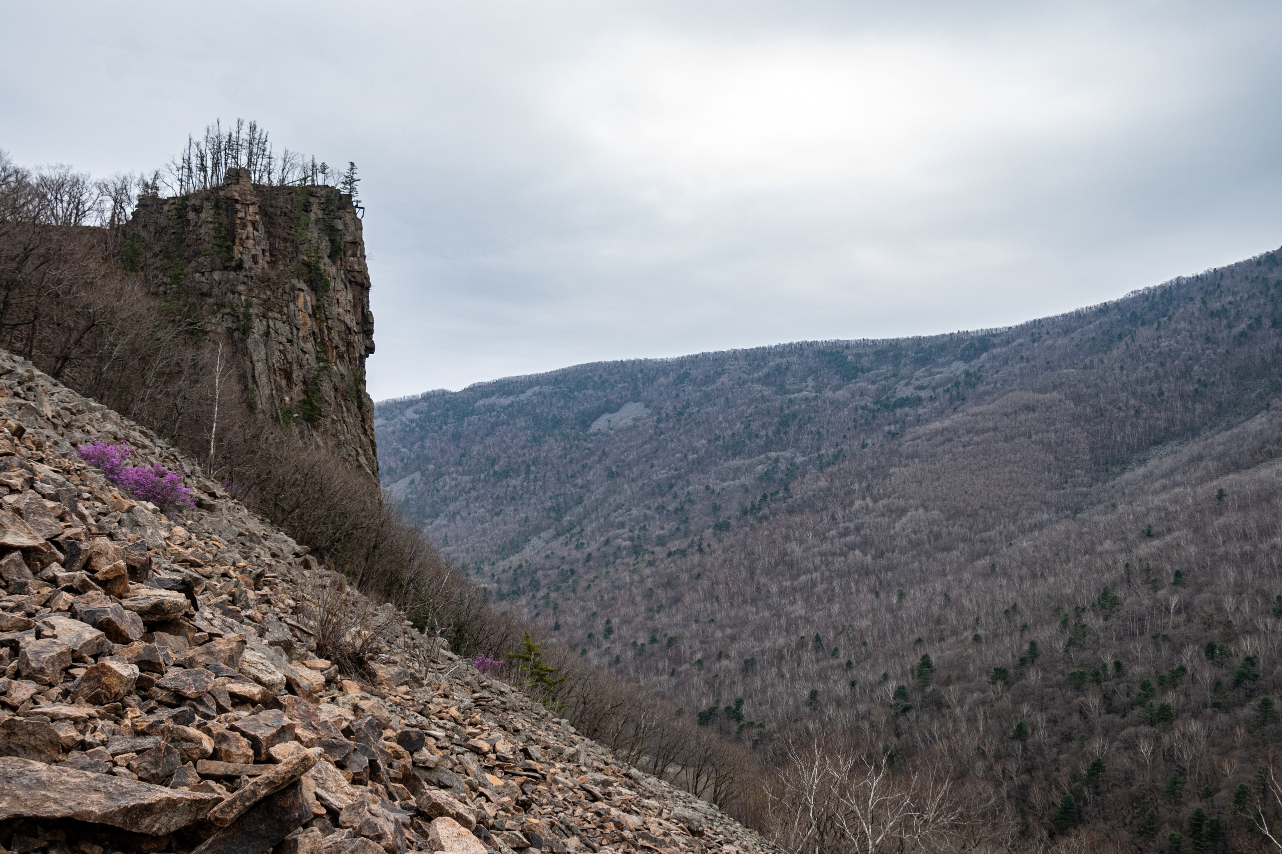 Ущелье Дарданеллы. Репортажный и портретный фотограф во Владивостоке Денис Седов