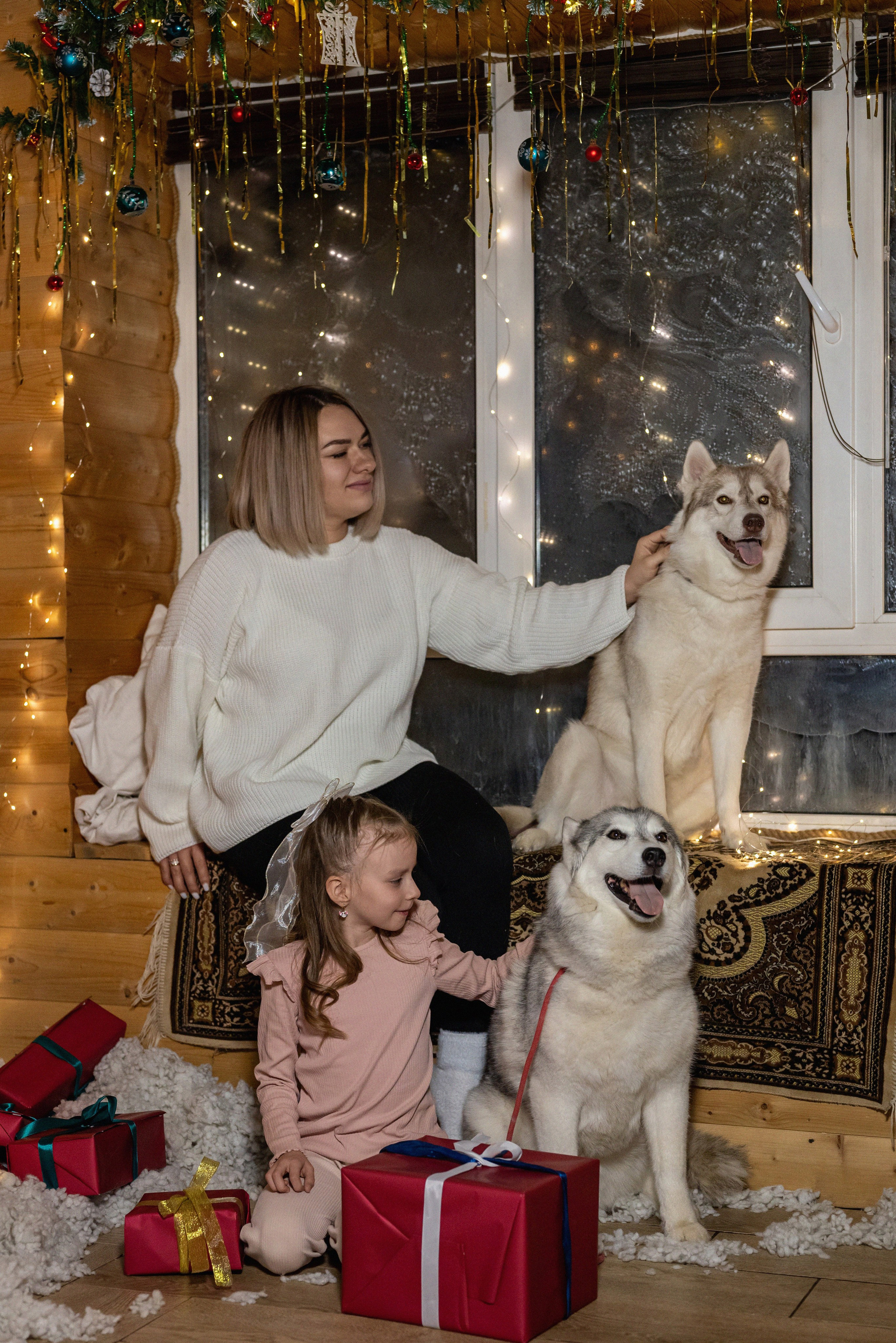 Фотопроект с хаски 2024 г. Фотограф в городе Салават