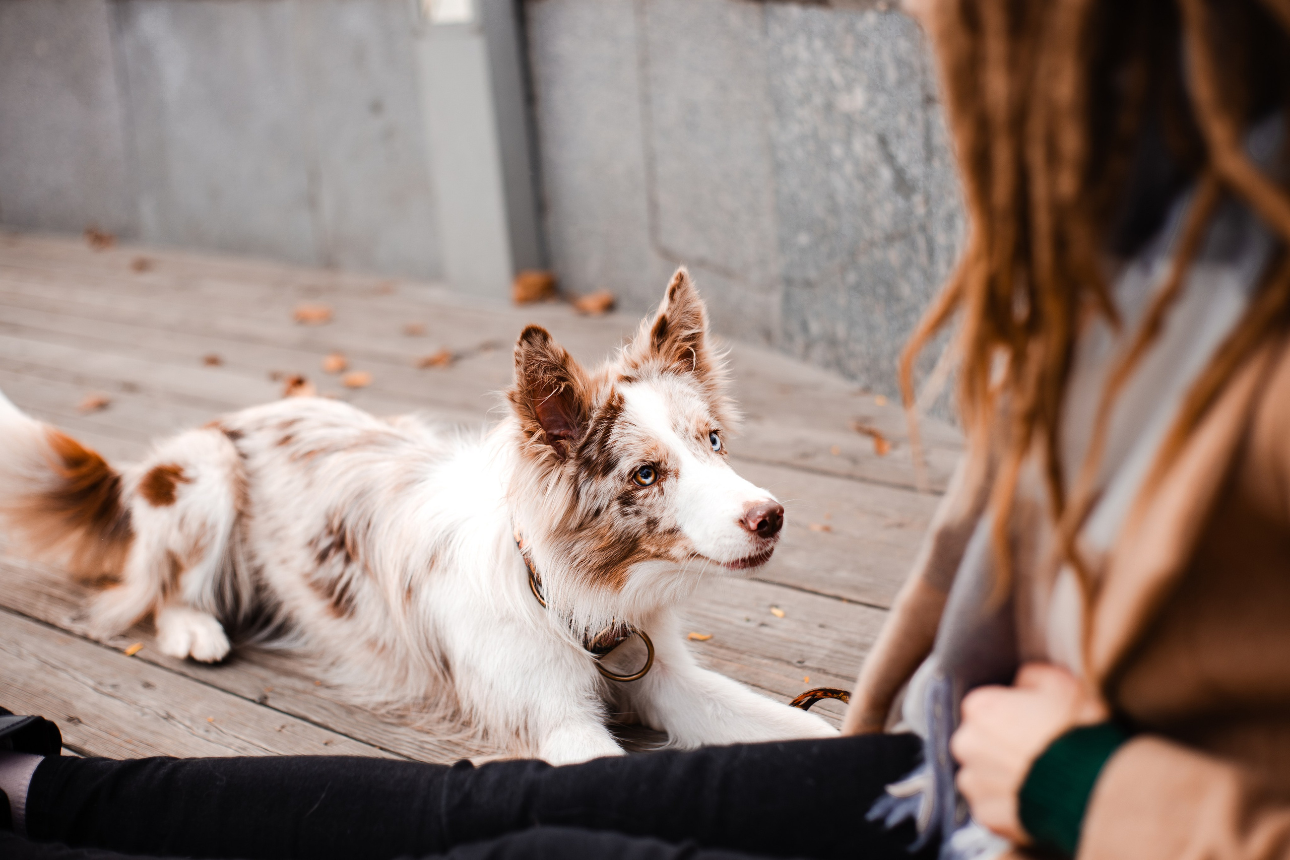Мария и Утопия. Фотограф-анималист Мария Баркевич | Москва