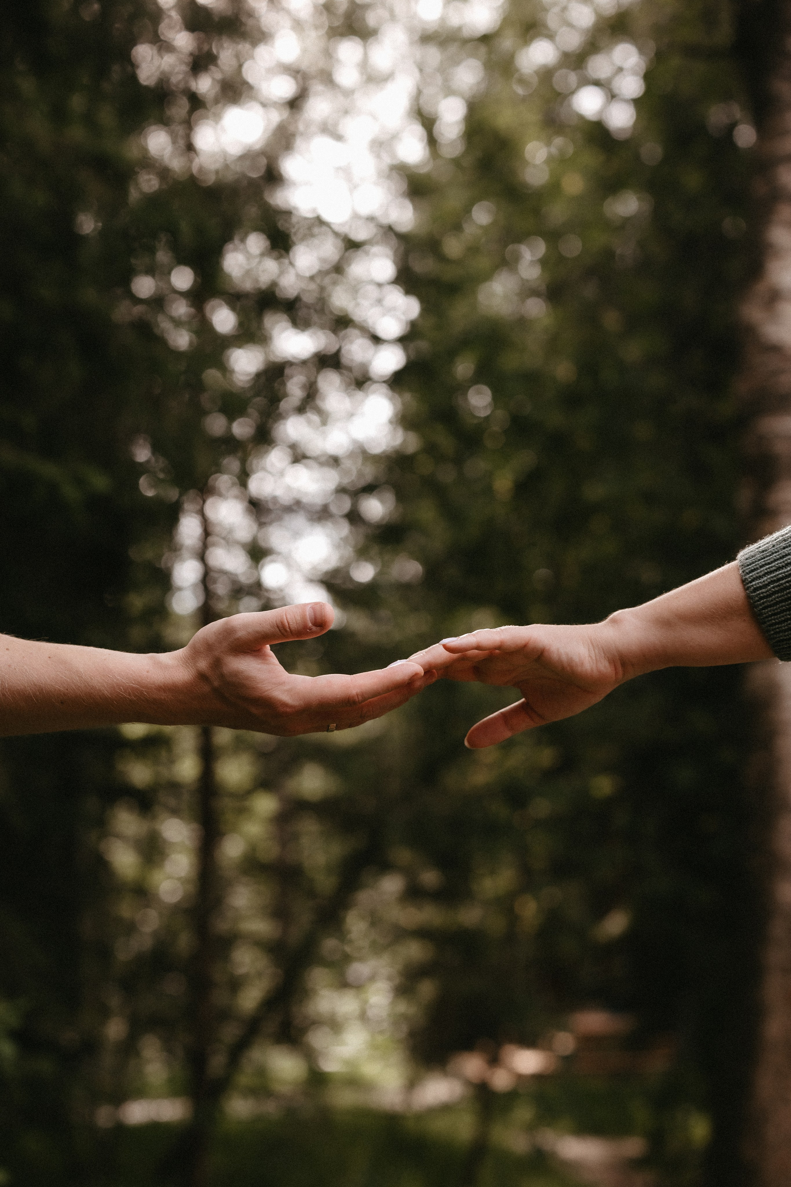 История. Евгения Пелипас