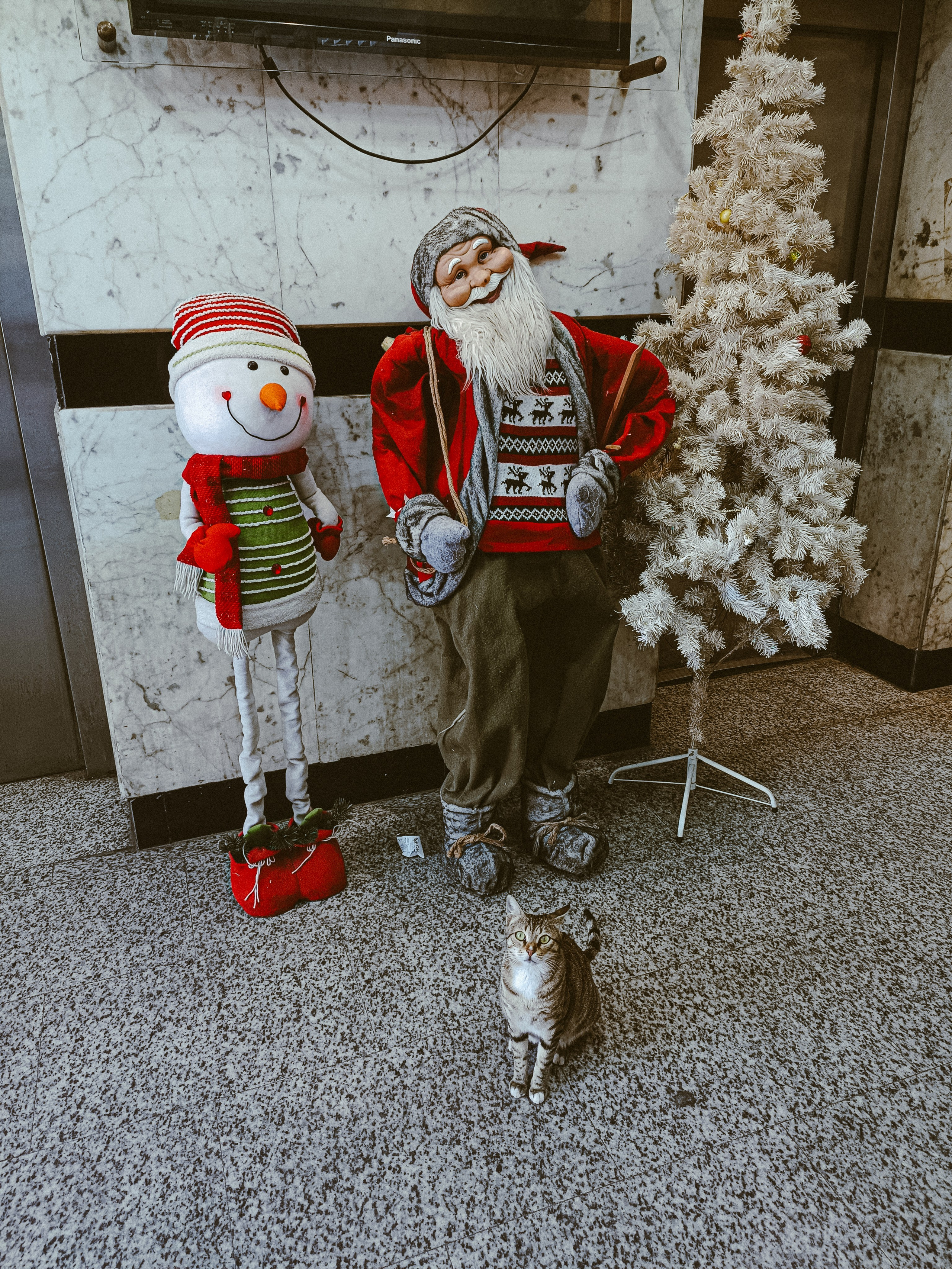 Мобильная. Jorgis — фотограф в Хургаде / обучение фотографии