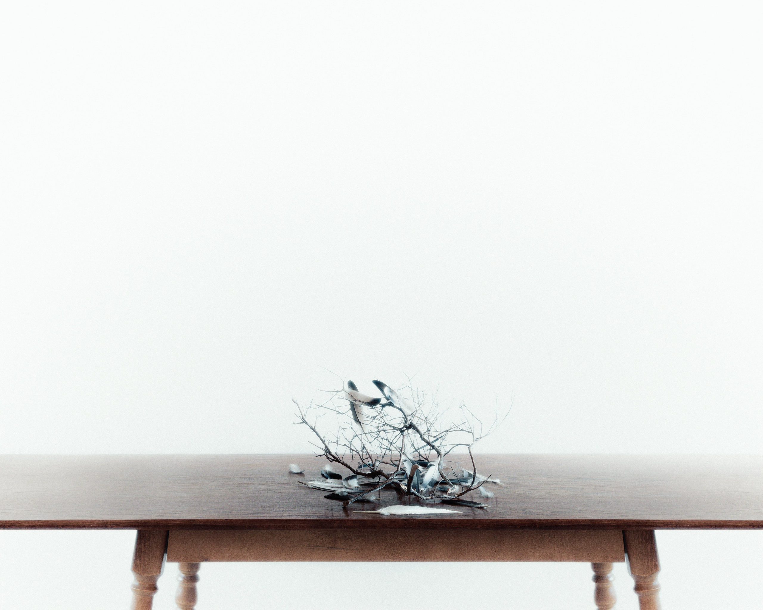 Скользящая плоскость — проект Сафонова Владислава. Сафонов Владислав, фотохудожник