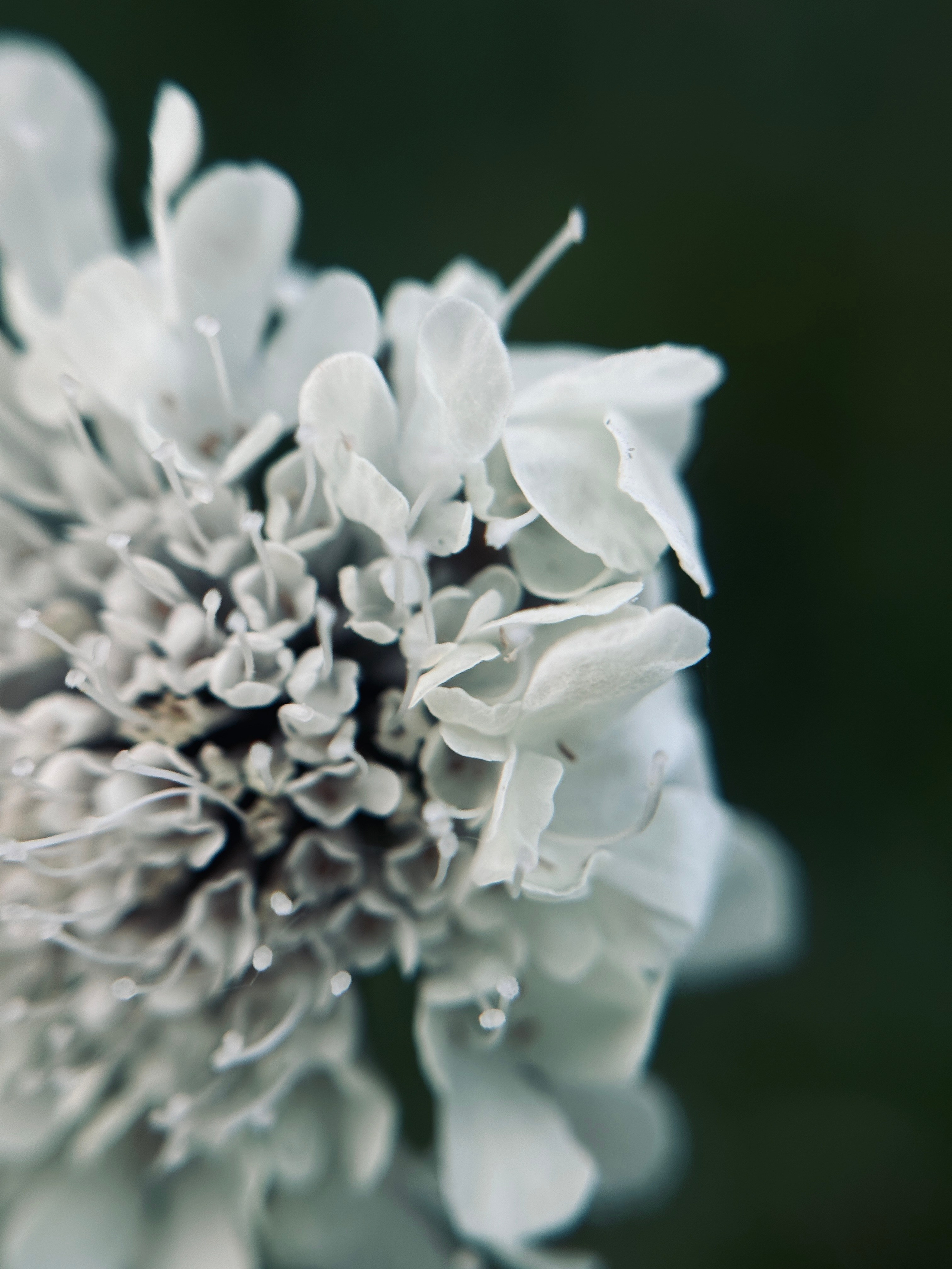 Флора и фауна. Смотри, красота!